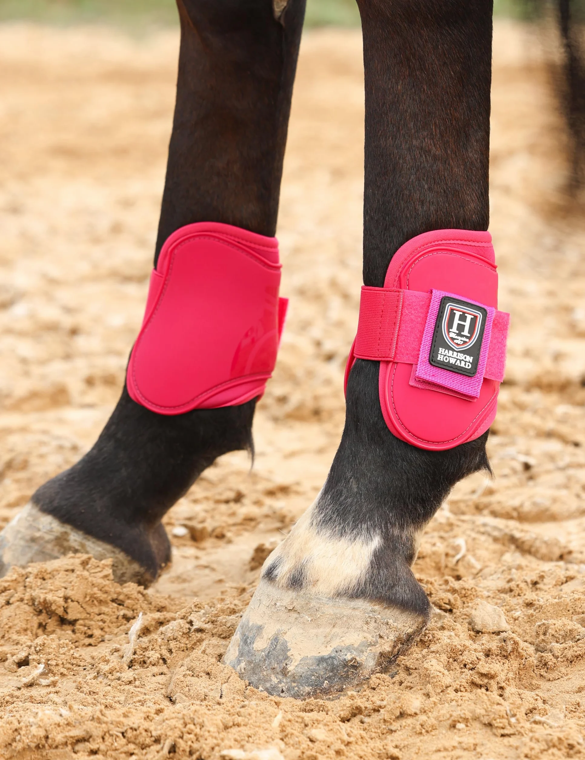 Harrison Howard Botas de tendón de caballo con parte delantera abierta, botas protectoras para caballos para saltar, montar en senderos, juego de 4