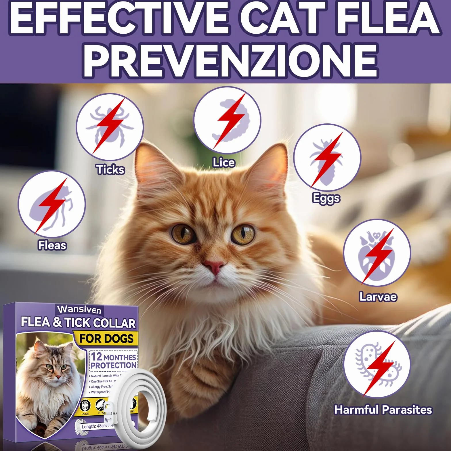 Wansiven Collar Antipulgas para Gatos, Ajustable Collar Antipulgas, Piojos, Pulgas, Parásitos, Adecuado para Gatitos, Gatos Medianos y Grandes 48cm