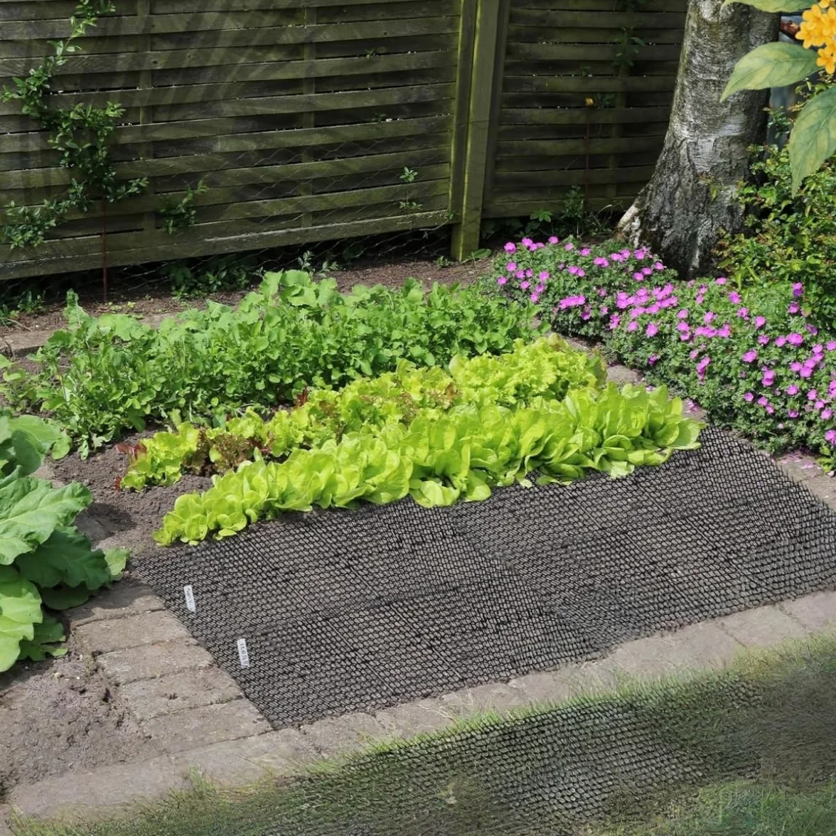 Pinchos Anti Gatos 6 Piezas Plástico Anti Cat Mat Alfombra Antigato con Puntas,Anti Gatos,Repelente para Interior Exterior Césped Jardín Protección de Plantas,20x15 CM
