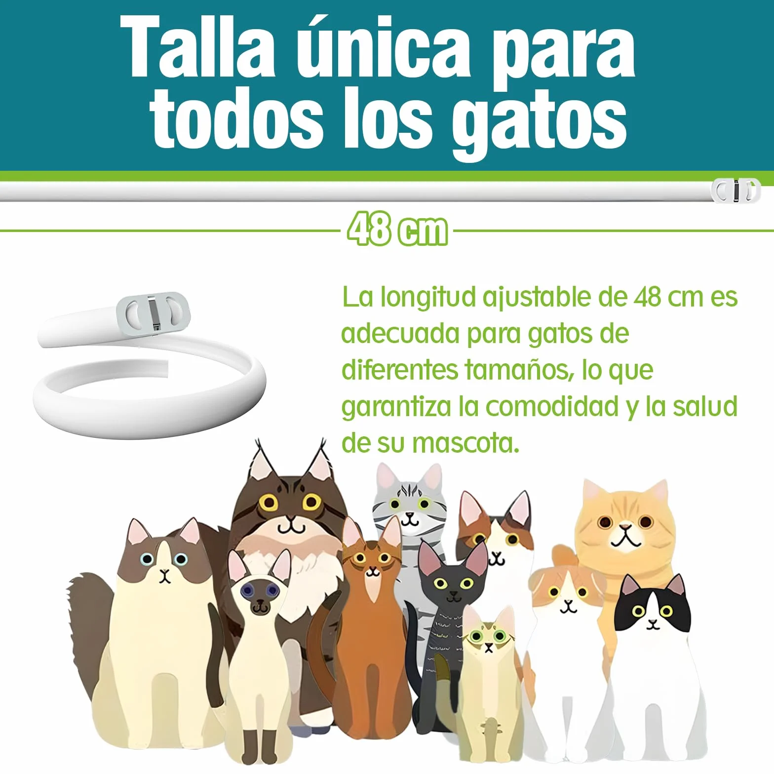 Collar Antiparasitario para Gatos, Collar Antipulgas y Garrapatas Ajustable, Gregado con Aceites Naturales, Impermeable, Apto para Todos Los Gatos,10 Meses de Protección