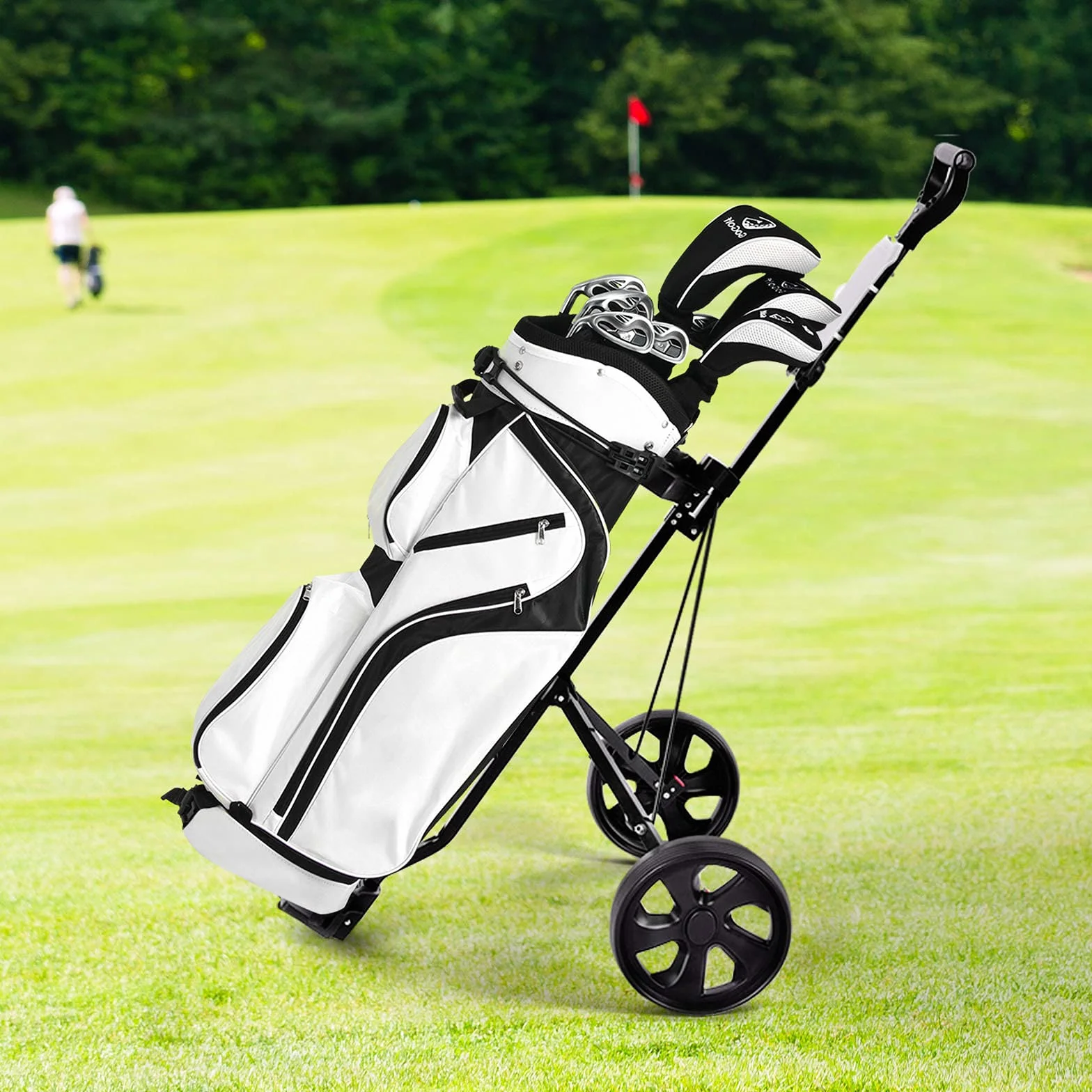 COSTWAY Carrito de Golf Plegable con 2 Ruedas, Estructura de Metal, Negro