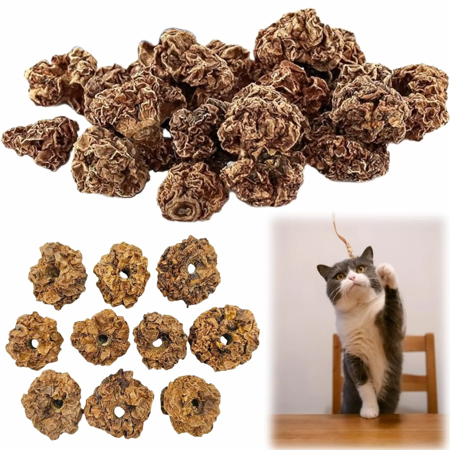 Frutas Matatabi,20pcs Juguetes para Gatos para Limpieza de Dentición,Cat Teething Toys,Snack Gatera para Limpiar Dientes