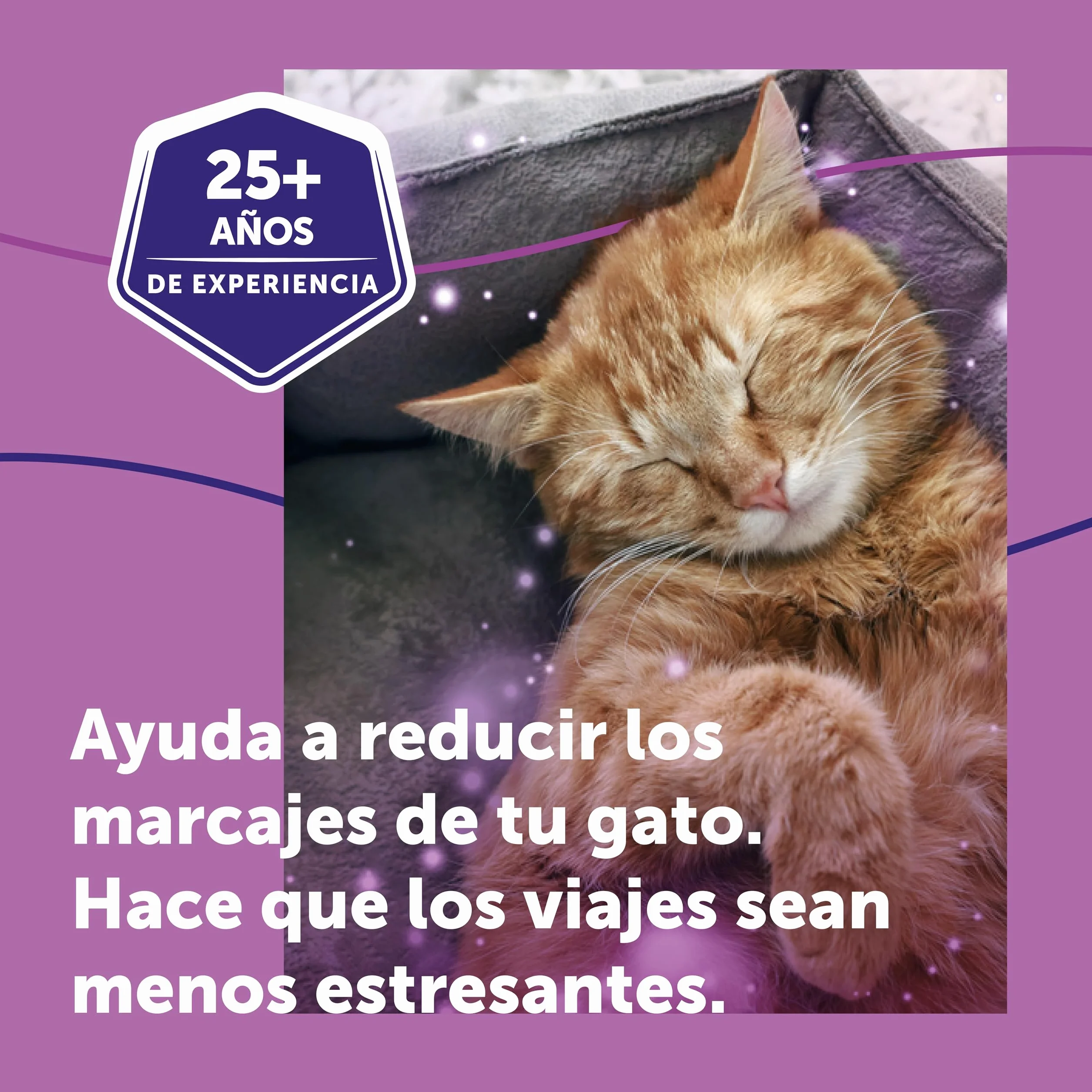FELIWAY Classic Spray - Feromonas calmantes para gatos (60ml). Reduce los marcajes con orina y el estrés durante los viajes en transportín. Recomendado por veterinarios.
