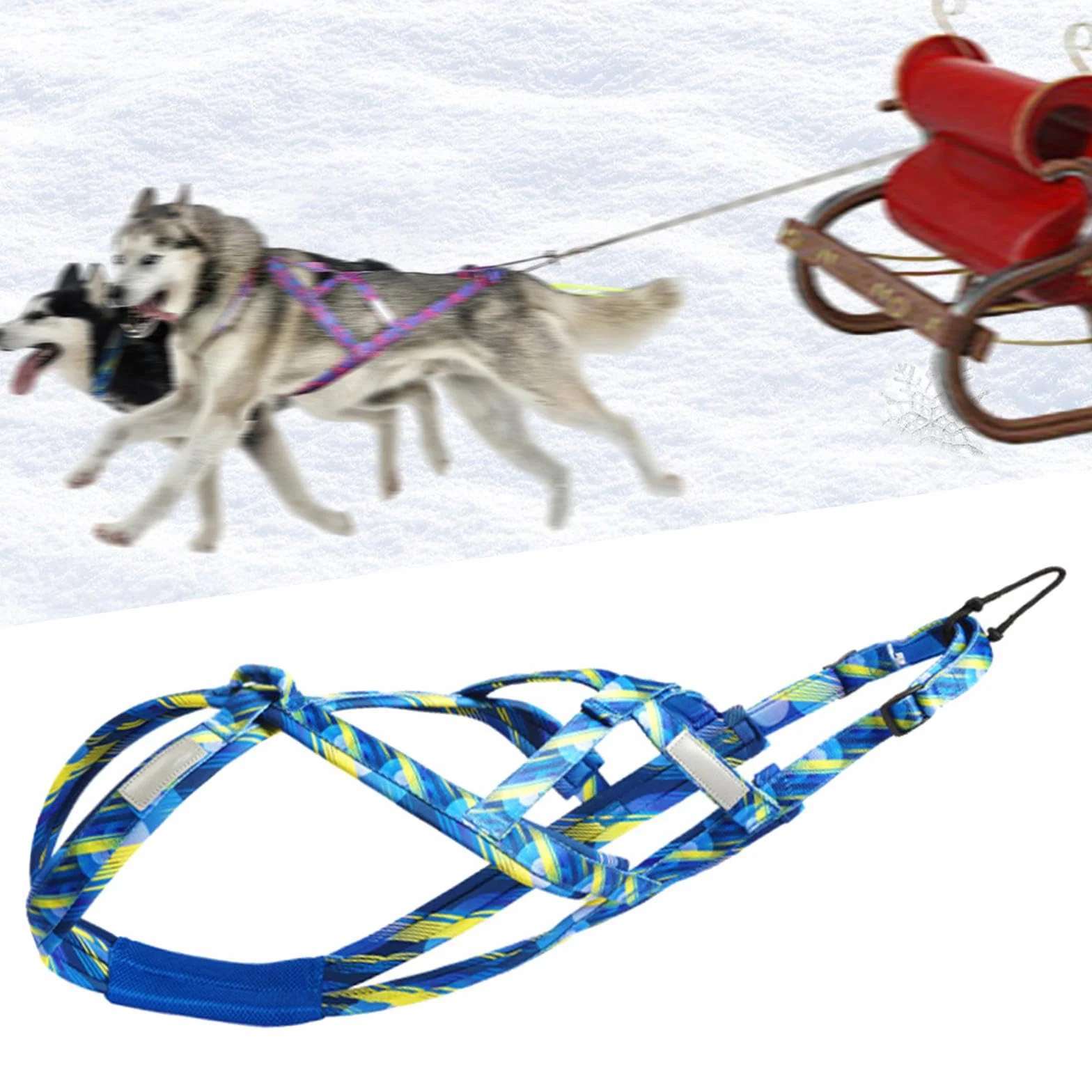 Arnés de Trineo para Perros de Tirar de Peso, Entrenamiento de Velocidad, Mushing, Azul