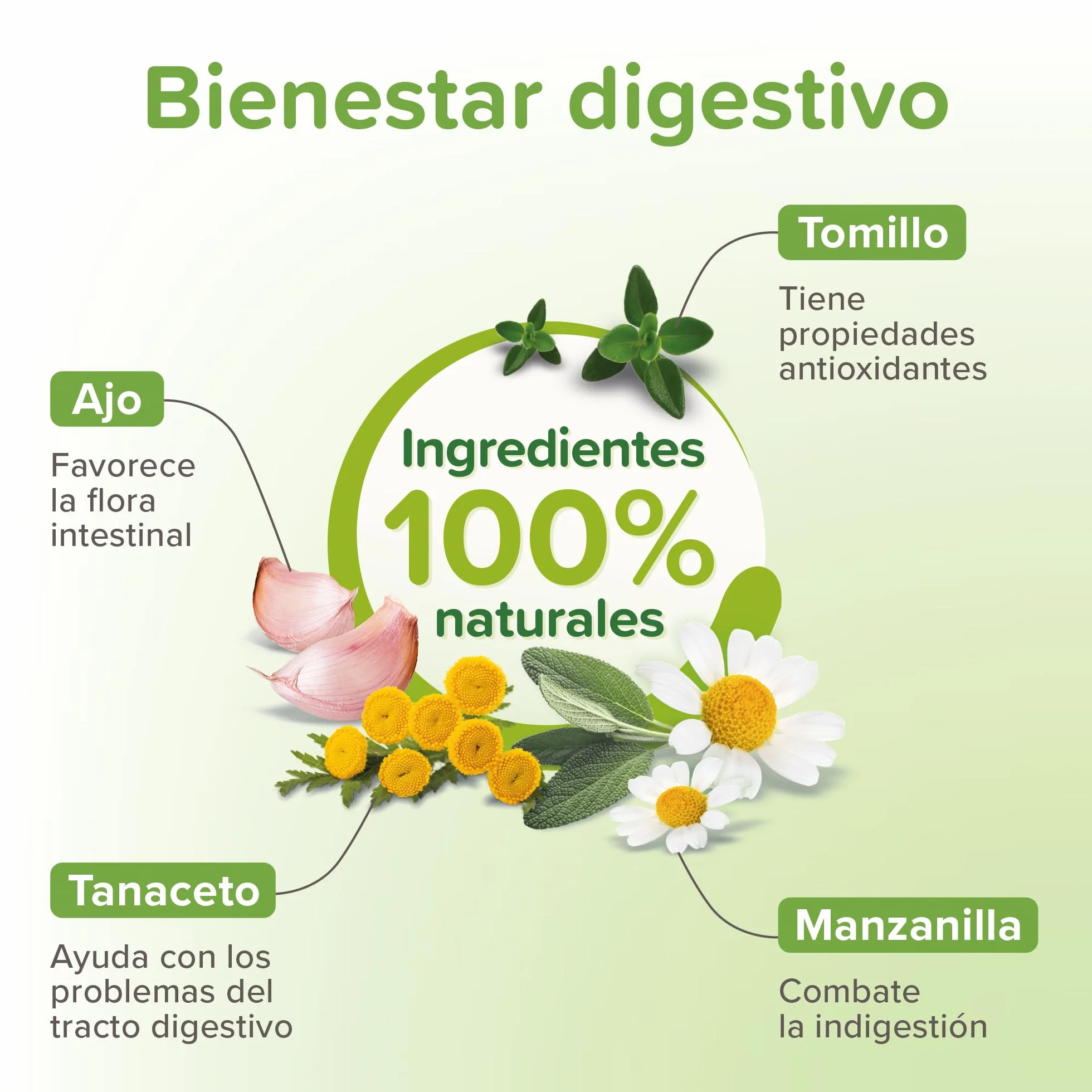 Beaphar VERMIpure Solución Líquida Natural Gatos y Gatitos - 50ml