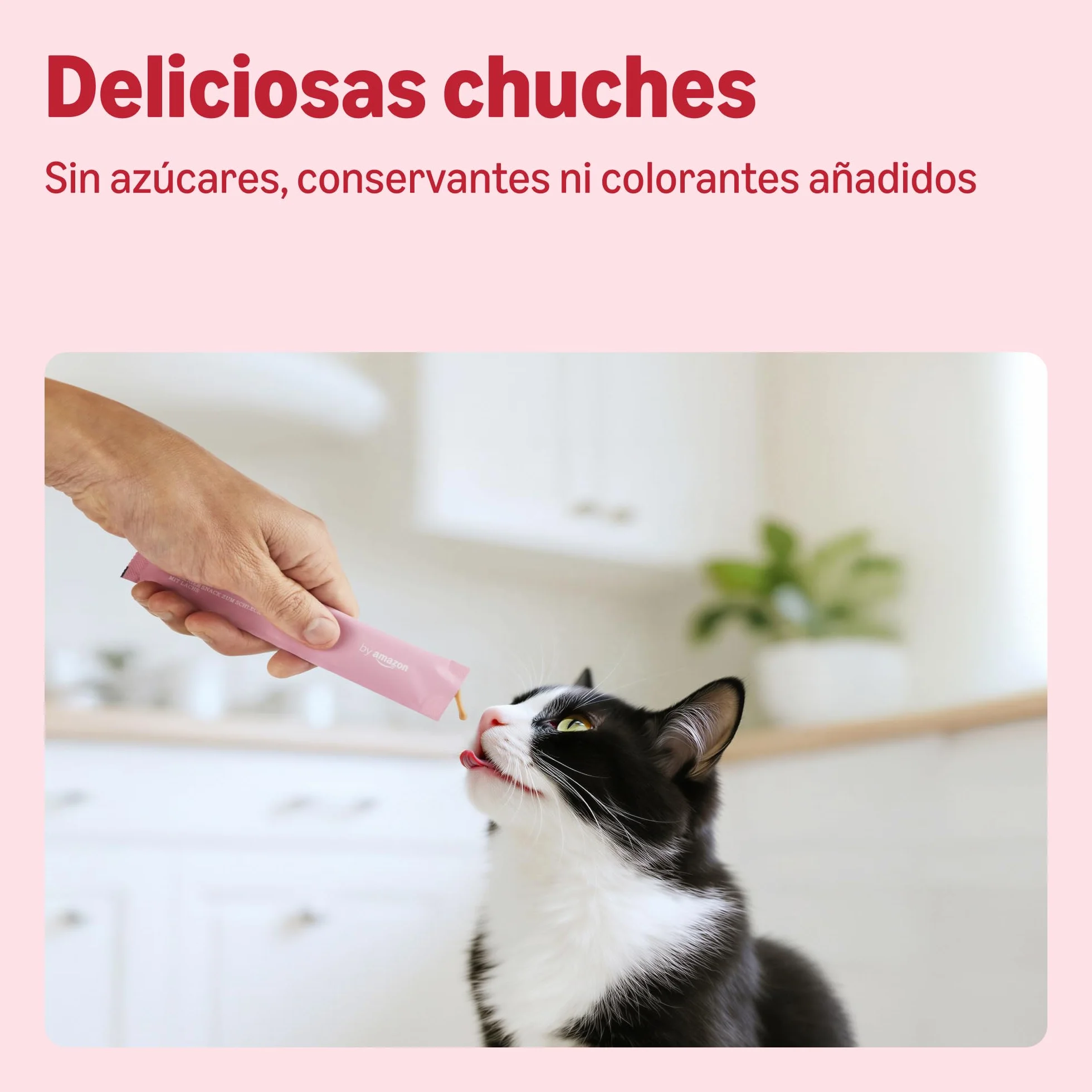 by Amazon Golosinas para Gatos – Snack para lamer – Salmón 5 x 15 g, 75 g