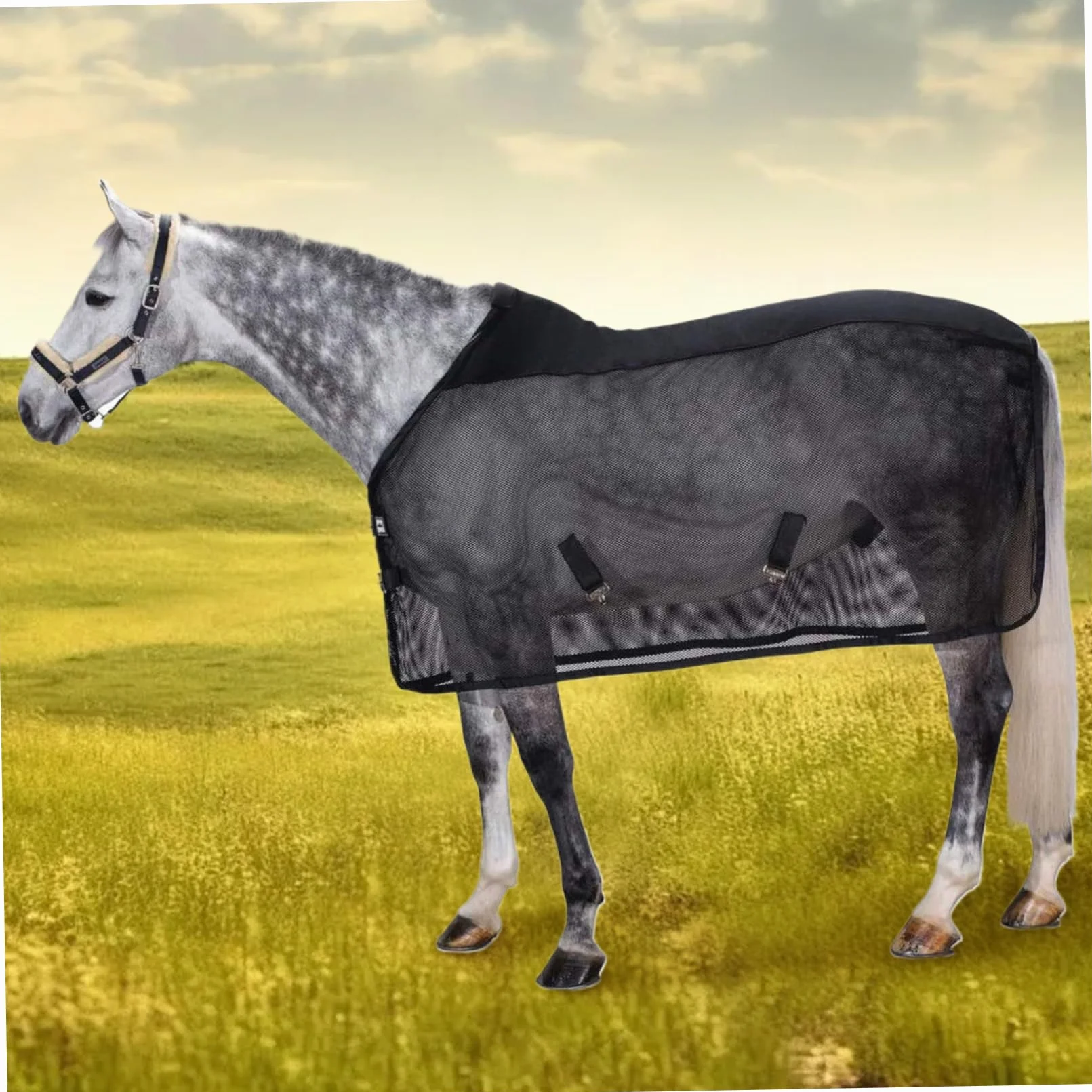 Manta mosquitera Ajustable para Caballos, protección UV y Malla Transpirable para Caballos Reales, Manta mosquitera con Hebilla, Exterior para Reales.
