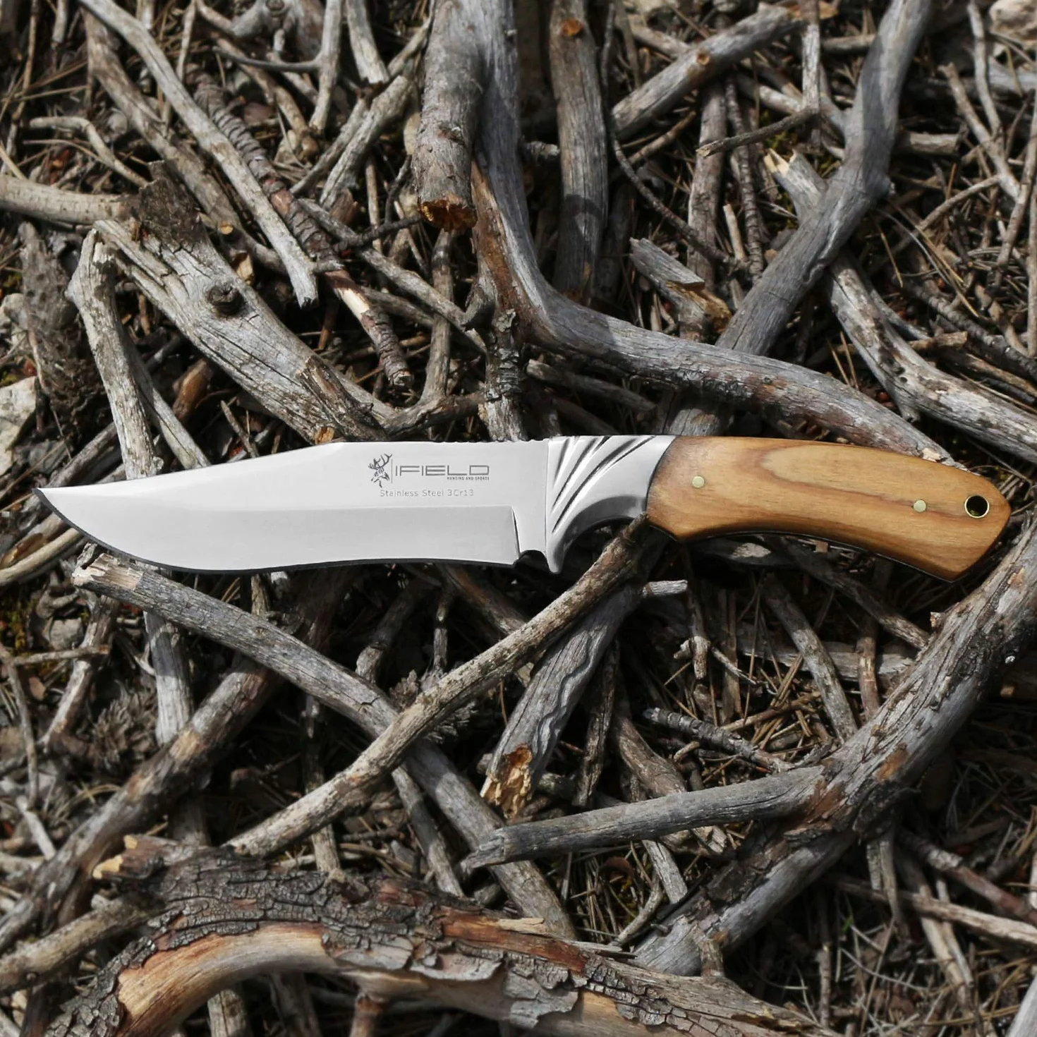 iFIELD Cuchillo de caza Camper EL29014, mango Olivo, hoja 14 cm, total 26 cm, virola acero, funda piel marrón