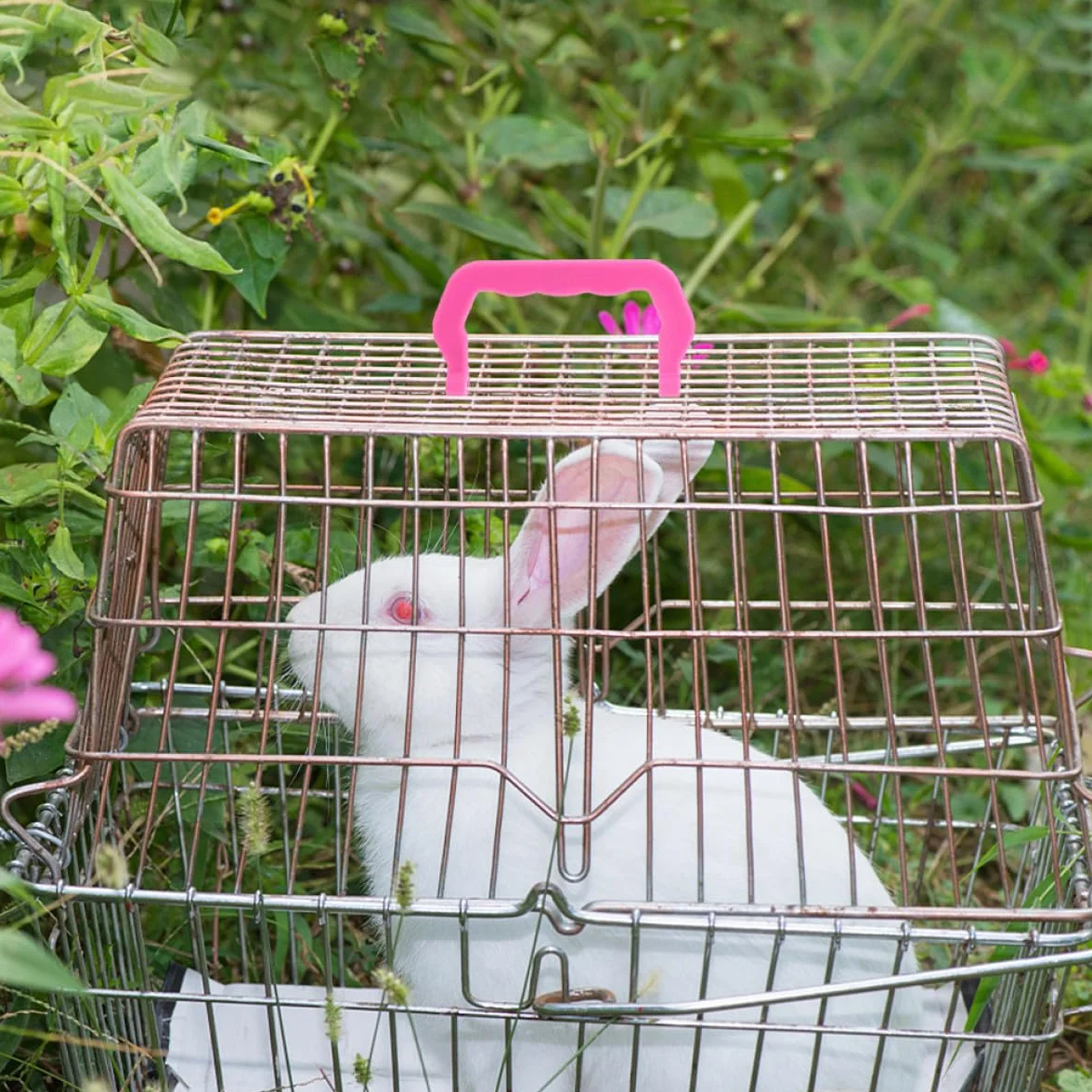 Asa para Jaula de Transporte de Mascotas de Plástico, Paquete de 20 Piezas, Segura y Conveniente para Jaulas de Pájaros y Pequeños Animales