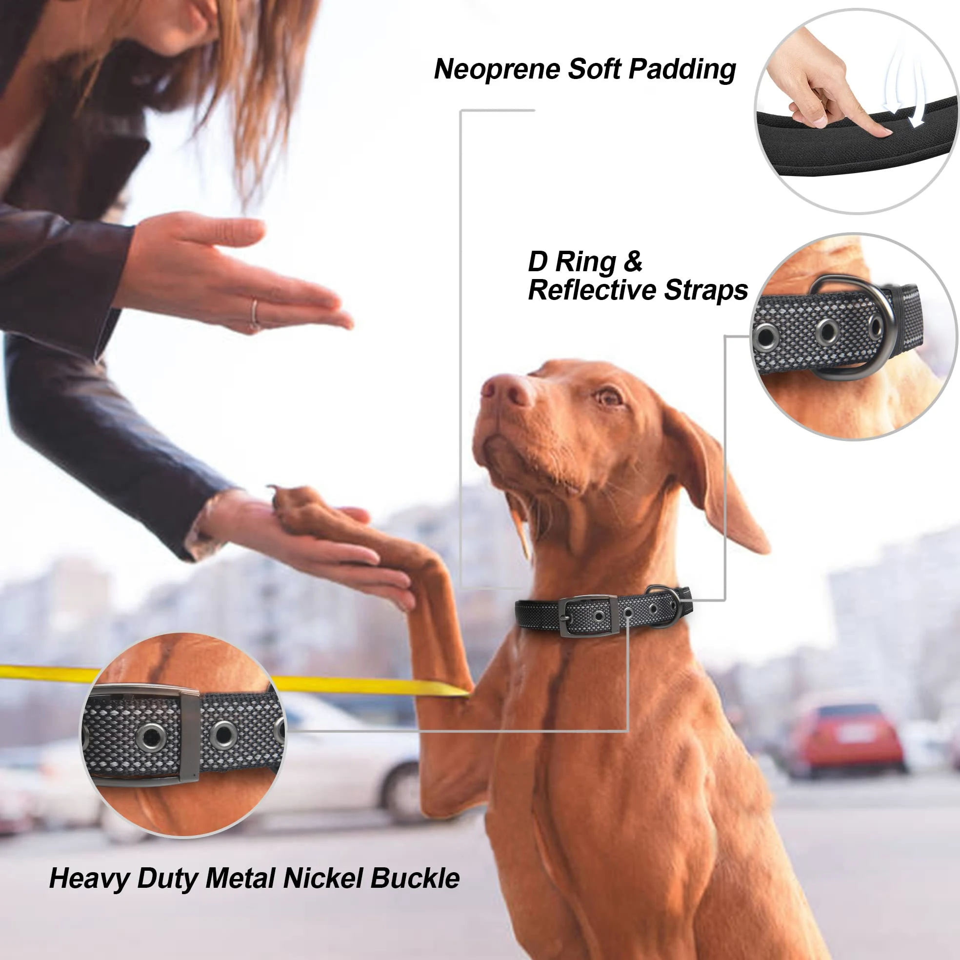 PetiFine Collar de perro resistente para perros medianos, collares de perro con hebilla Nikel reflectante, tamaño conveniente para todas las razas (14.5 a 19 pulgadas, negro)
