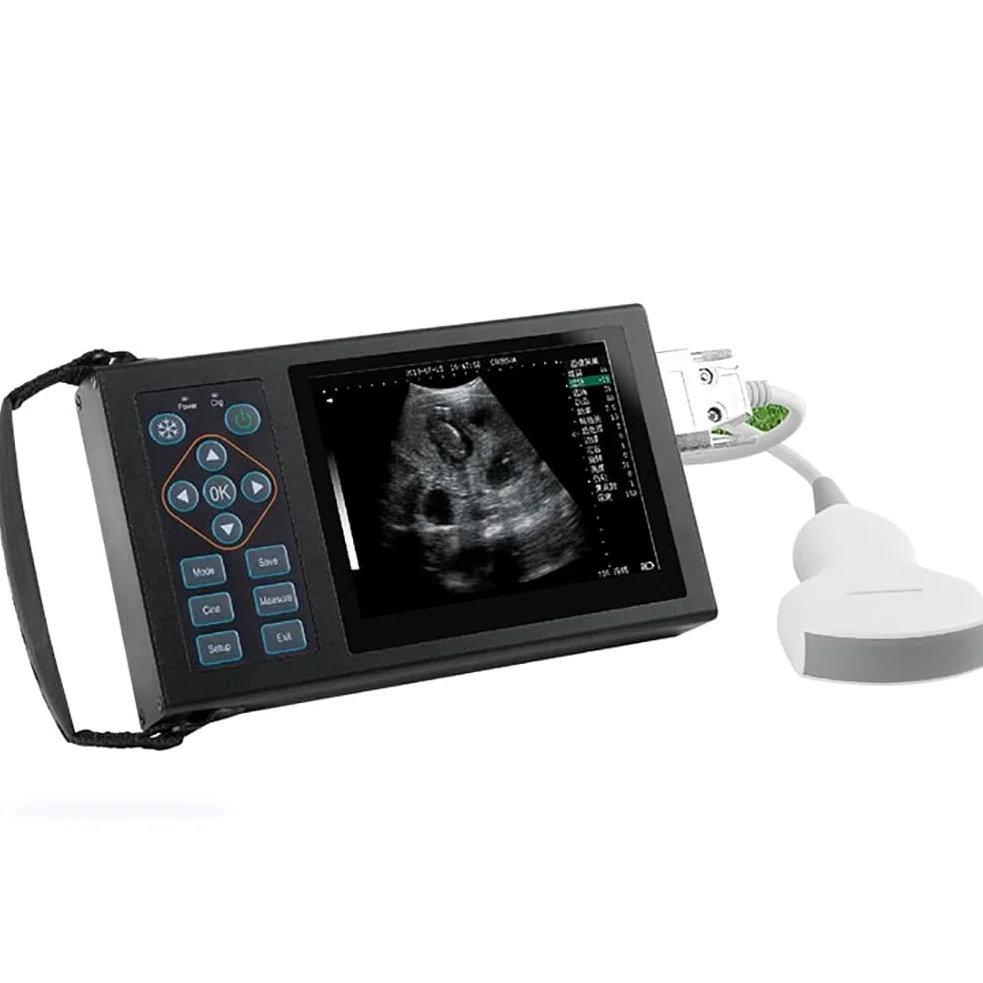 16 HD Máquina de ultrasonido veterinario pseudocolor, escáner de 5.0 MHz para detección de embarazo en cerdos, ovejas, perros, gatos
