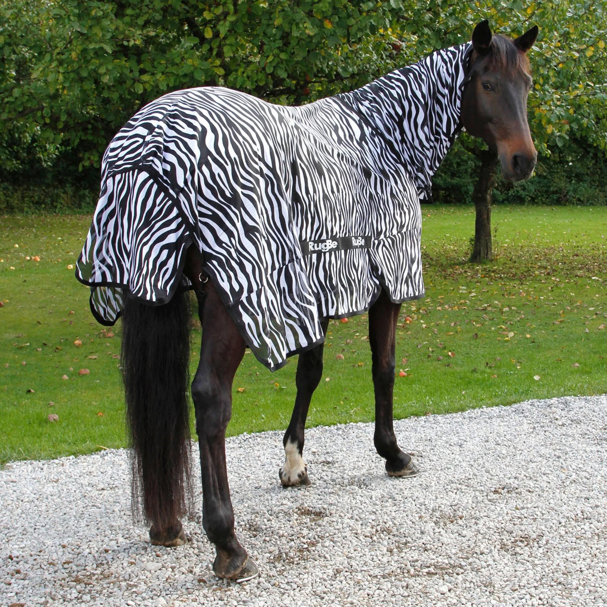 EXCELLENT Cuidado De Los Cascos Del Caballo Manta Para Moscas Y Eczemas Cebra Con Sección De Cuello 215 cm