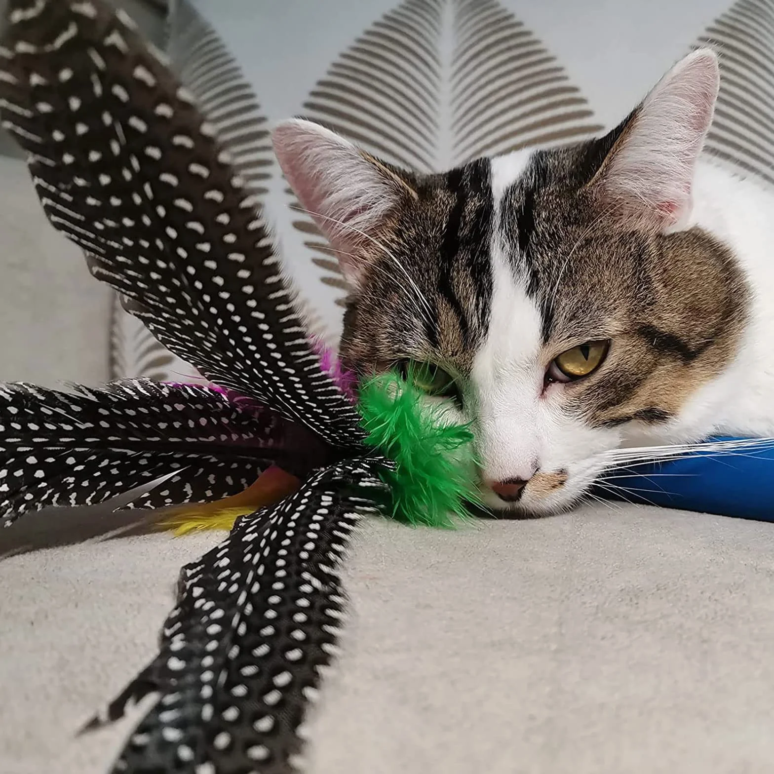 9 Piezas Juguete Plumas Gato,Juguetes para Gatos Caña Gato,1 Varita Retráctil,con 8 Repuestos de Plumas, Pájaros y Ratones
