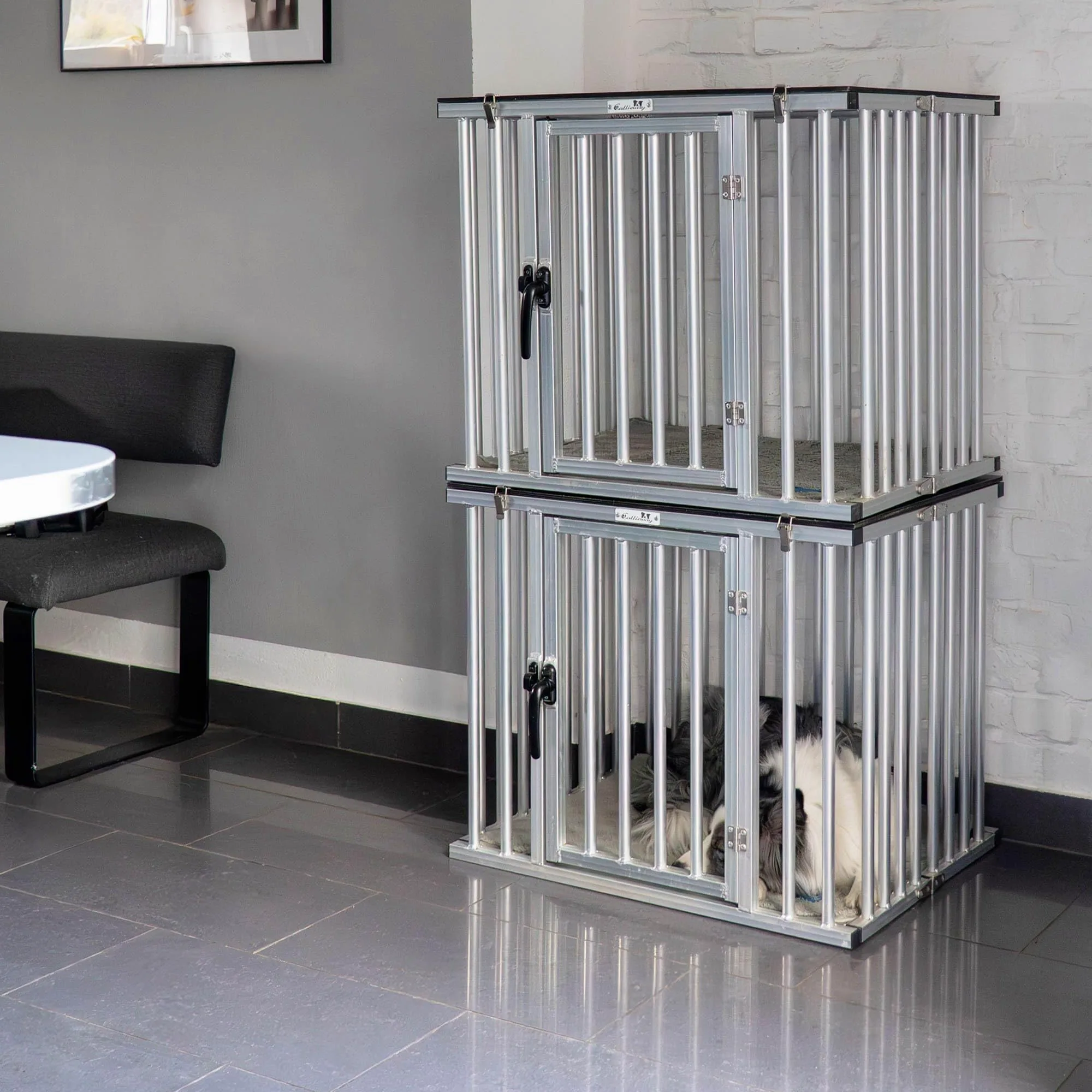 Callieway Dogbox de aluminio plegable/plegable para perros/jaula de transporte plegable (XL)