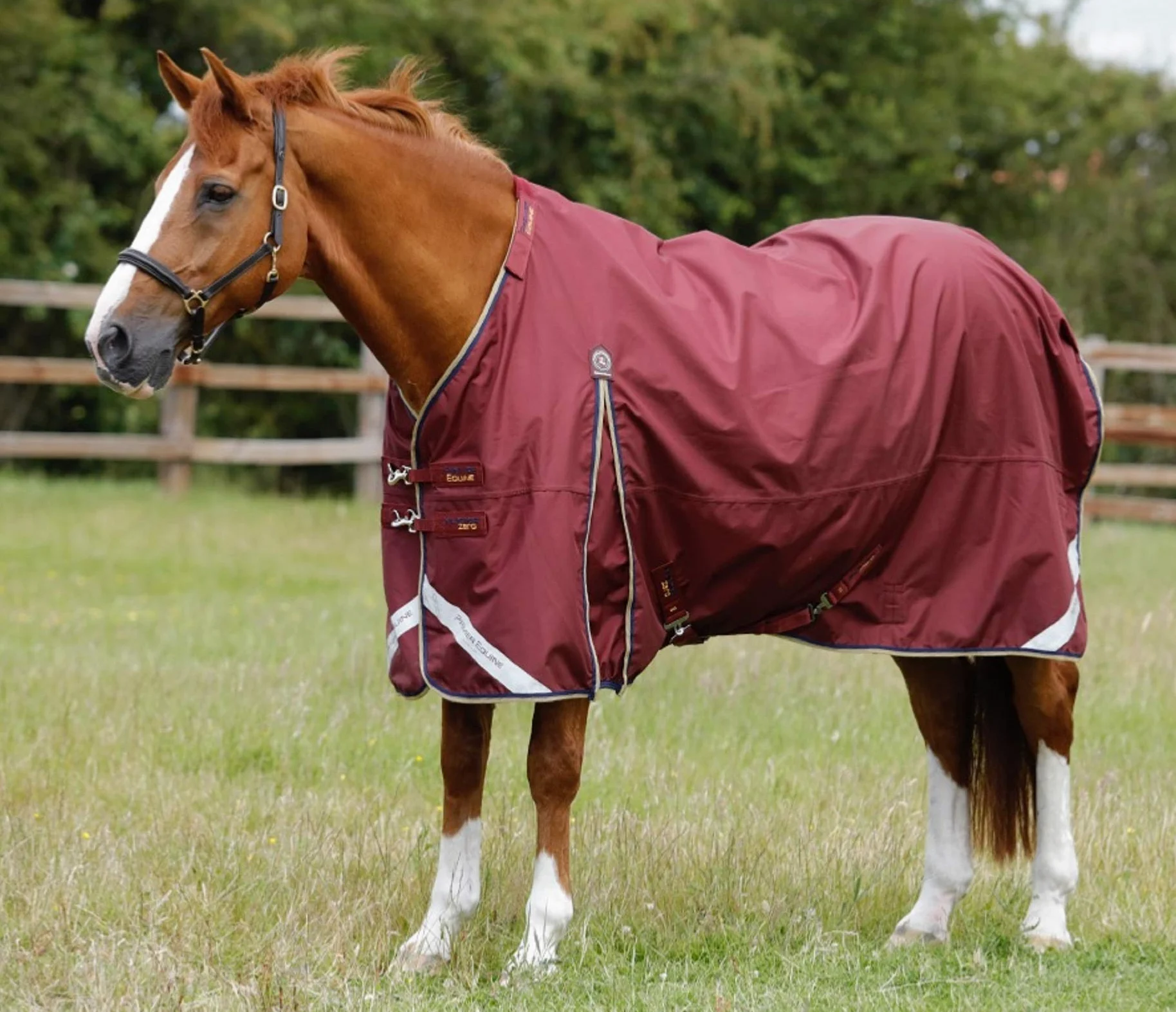 Premier Equine Manta Impermeable para Caballos con cubrecuello Buster 0 g
