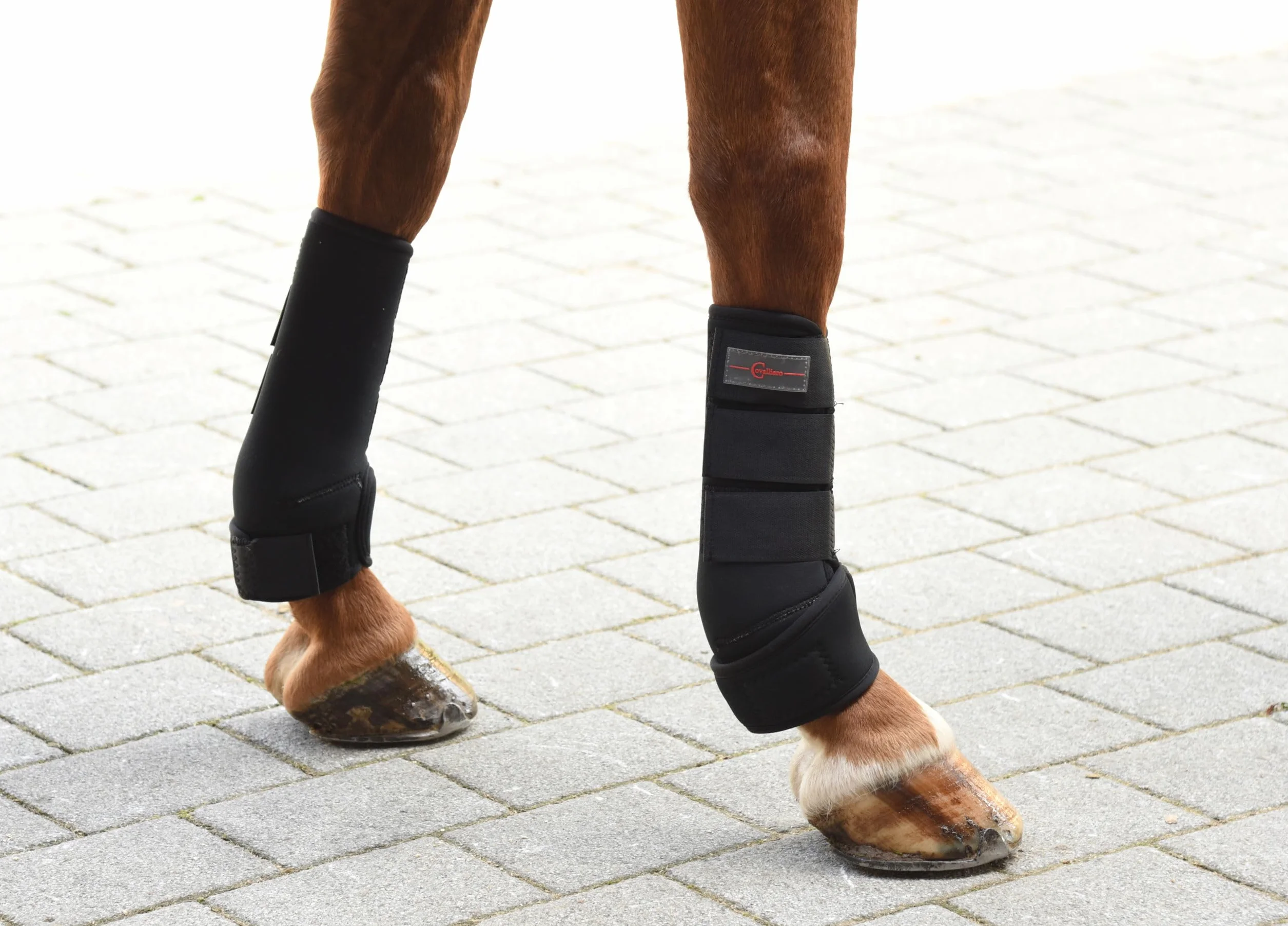 Kerbl Synthetic Rubber Fetlock Boots Set of 4 Black 3 Sizes
