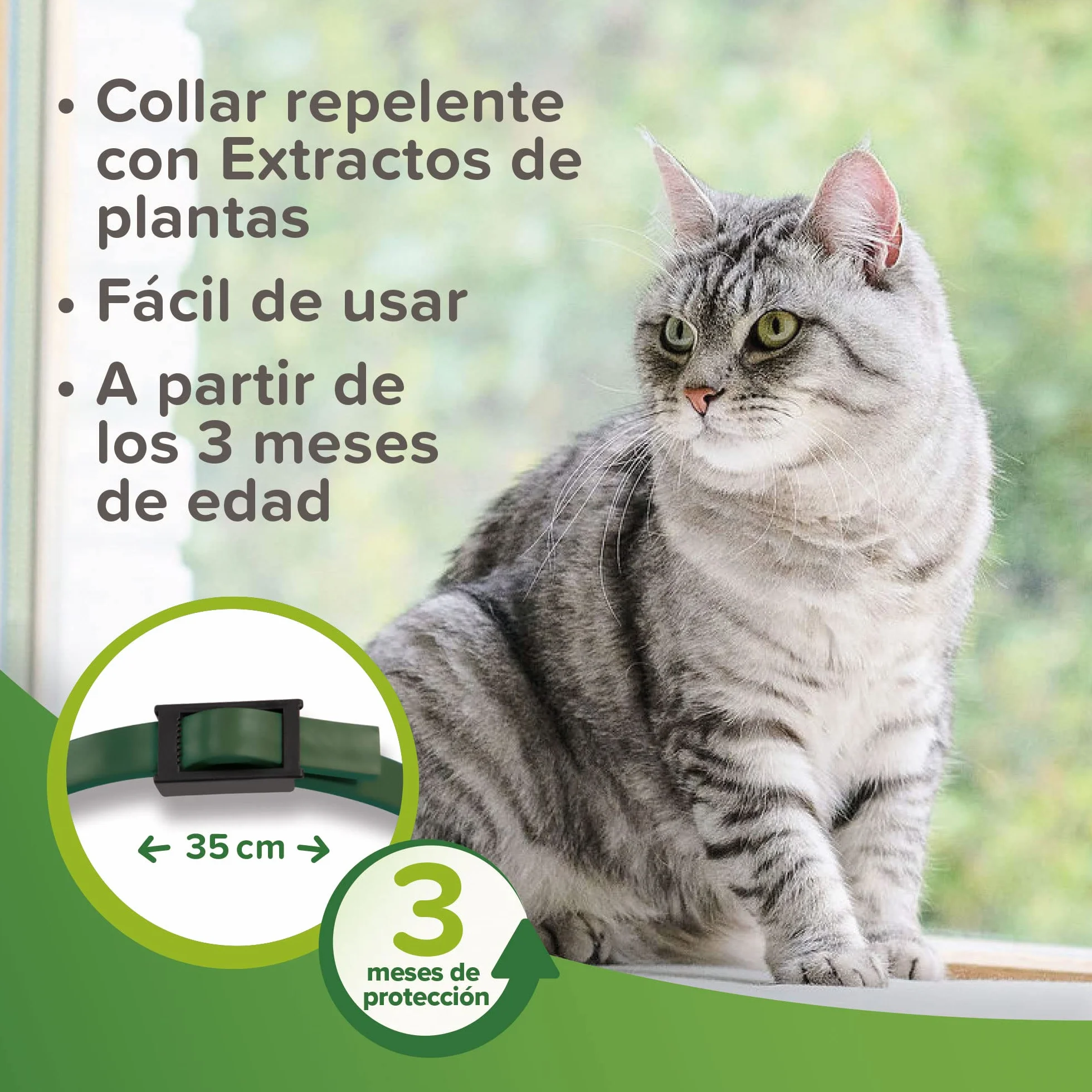 Beaphar Collar Repelente Natural para Gatos - 3 Meses de protección Natural contra garrapatas, pulgas y Mosquitos - para Todo Tipo de Gatos 35CM