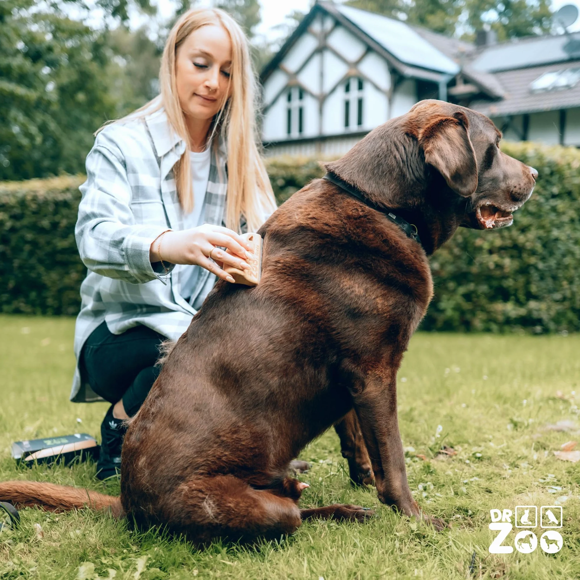 DR Zoo Cepillo para perros "Robbi" – Cepillo milagroso de alta calidad para el cuidado eficaz para perros pequeños y grandes, ideal para eliminar el pelo corto con capa interna