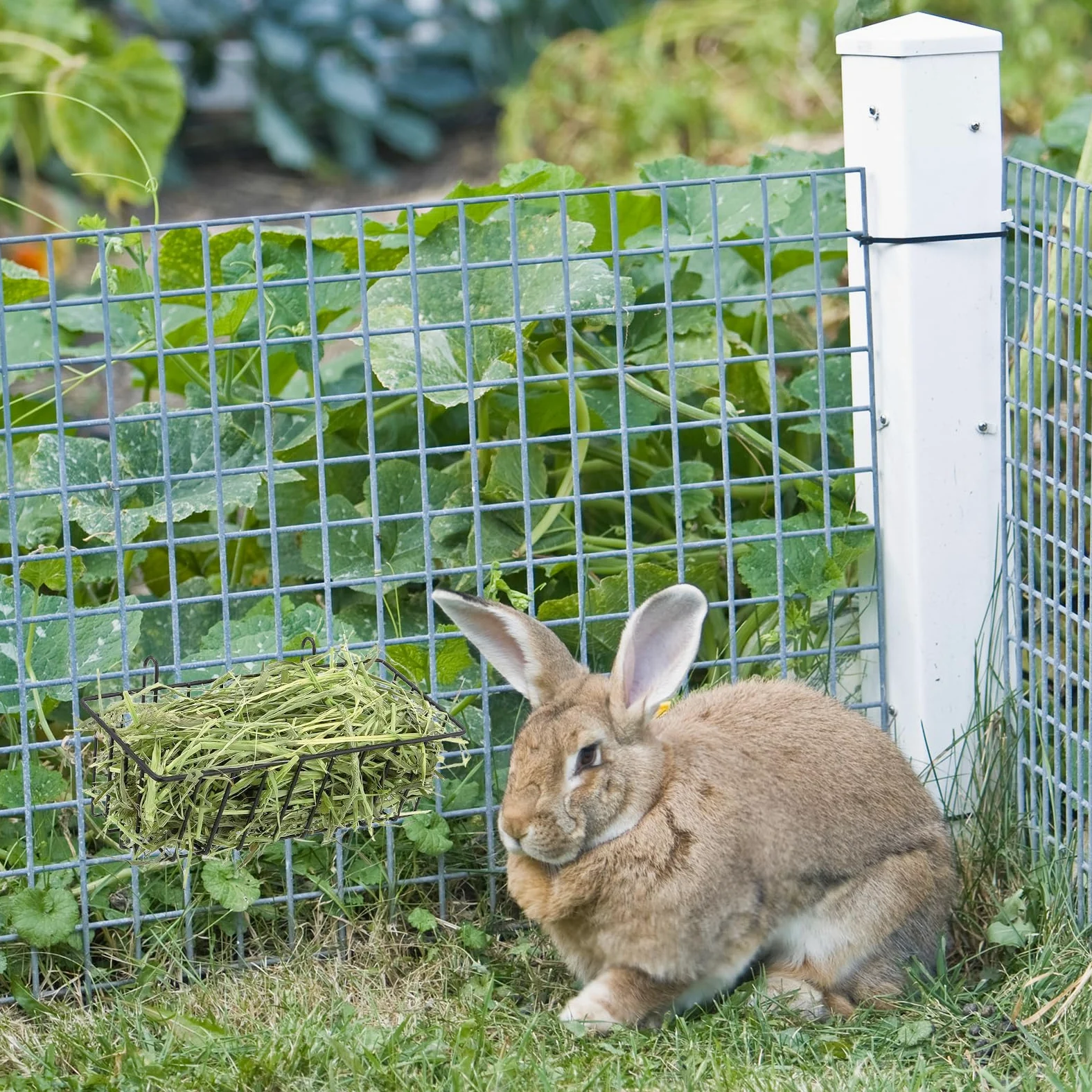 4 comederos de heno para conejos, estante de heno de metal resistente con ganchos, accesorios de jaula de animales pequeños, estante de comedero de heno con marco de metal para conejos,