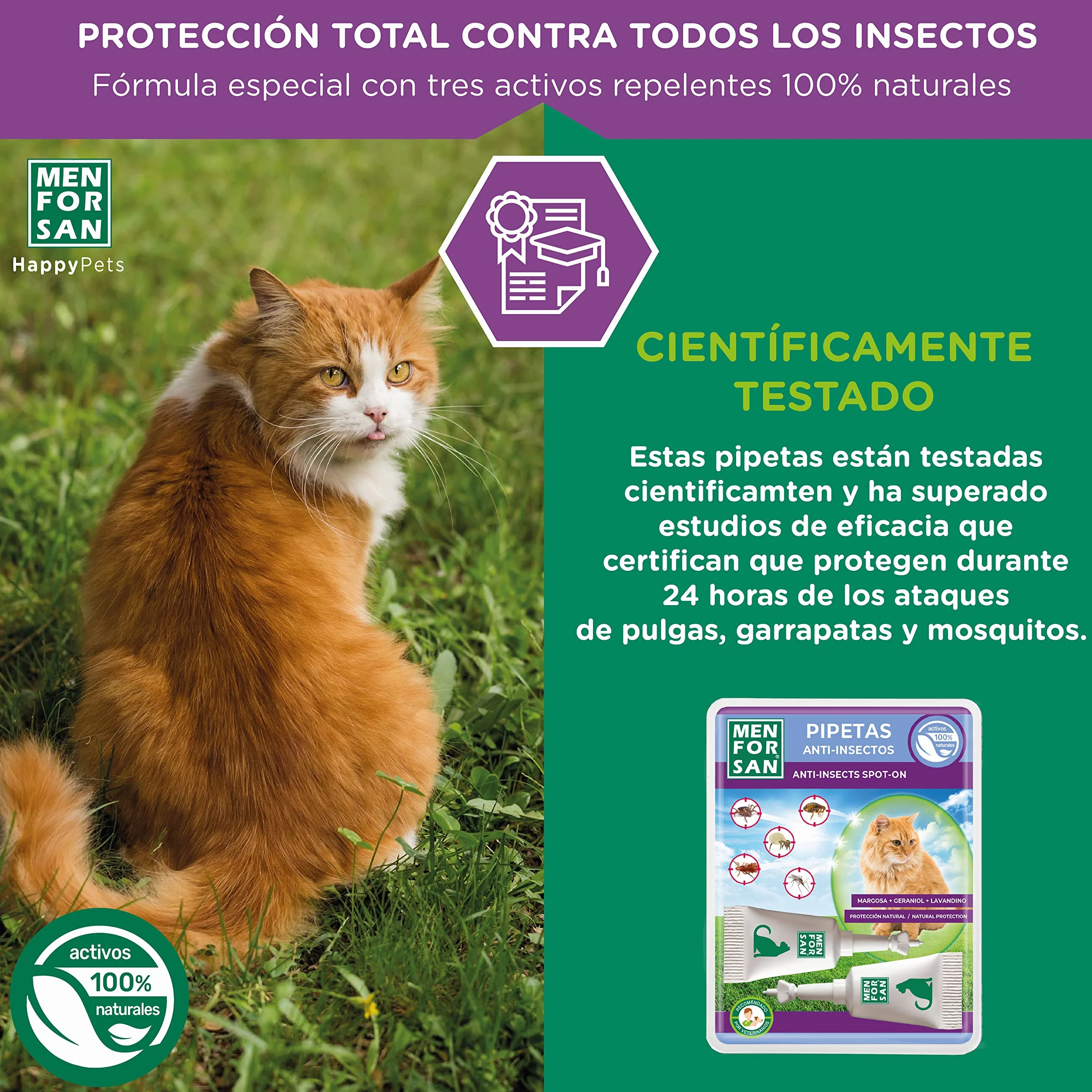 MENFORSAN Pack Mix de Collares y Pipetas Anti-Insectos para Gatos, Incluye 2 Collares y 6 Pipetas, en Bolsa Autocierre