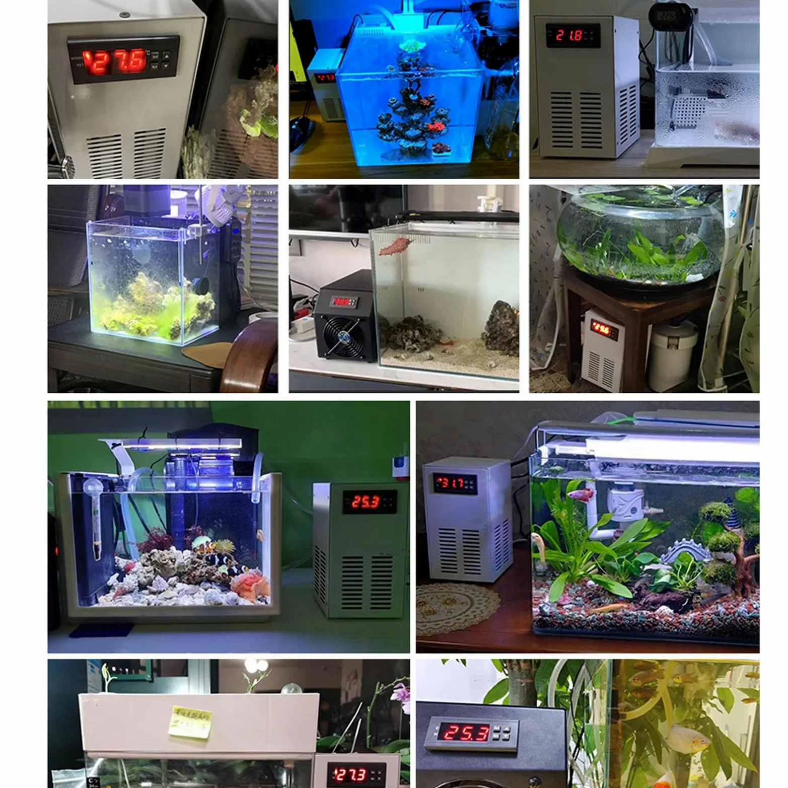 Enfriador de Acuario, Enfriador de Acuario de 72 W, Enfriador de Acuario Axolotl, Sistemas de Enfriamiento y Calentamiento de Acuario de 20 L con Manguera de (Enchufe UE de 100 a