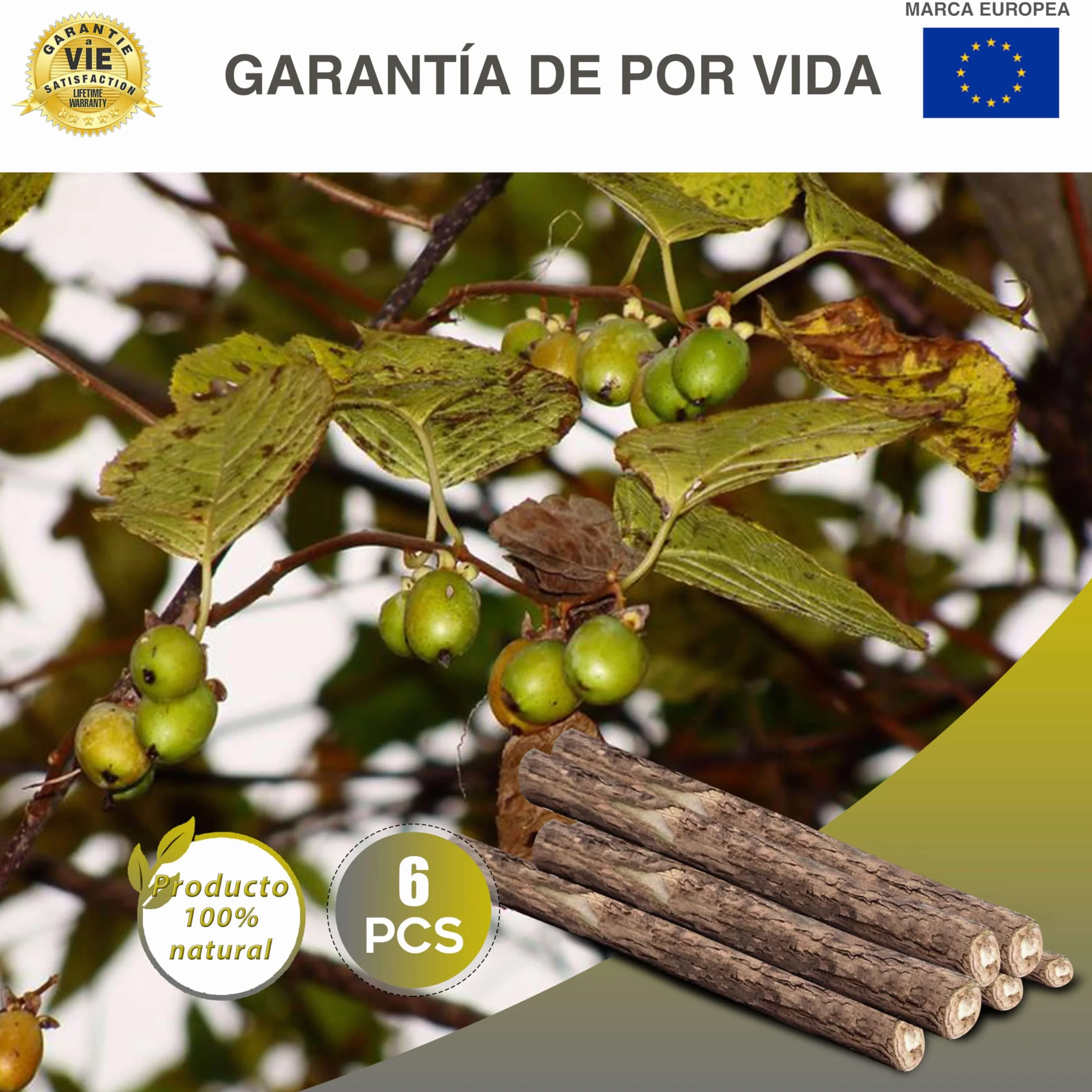 Palitos Matatabi | Pack DE 6 | ✮GARANTÍA DE por Vida✮ - Juguete Reusable con Hierba Gatera Calmante para Gatos y Gatitos - Higiene Bucal, Aliento - Sabor Menta, Madera Natural Orgánica
