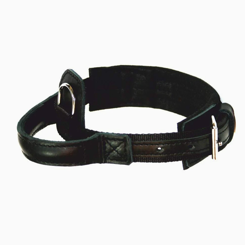 Dingo Gear 1977 Hero - Collar para Perro (Polipropileno, Mango Fuerte, Ajustable, 300 g), Color Negro
