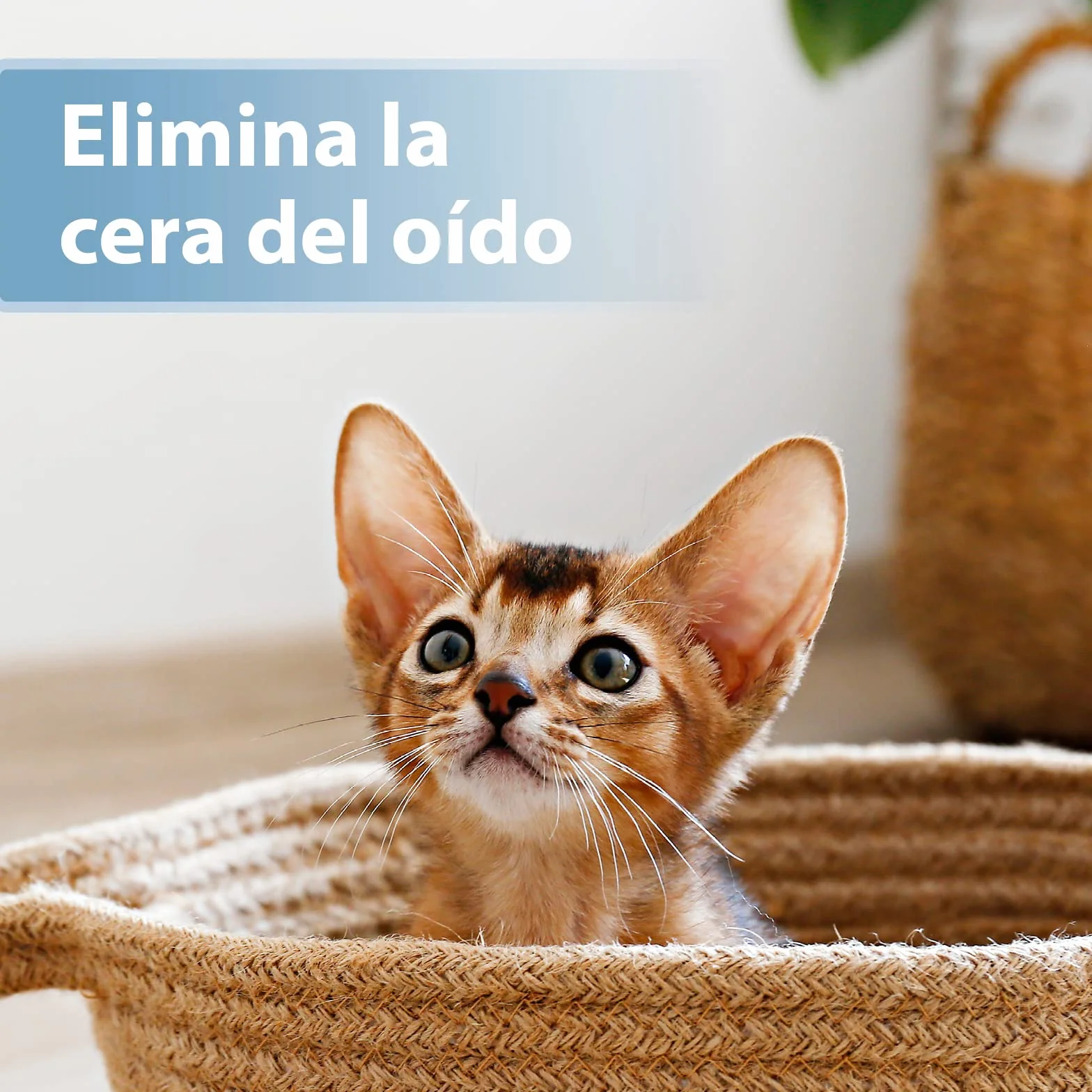 Felisept Almohadilla Para El Cuidado de los Oídos Para Gatos 50 piezas - Cuidado e higiene para orejas de gato - Alevines para una limpieza práctica e intuitiva - Limpiador de oídos para gatos