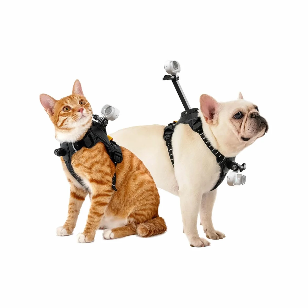 Insta360 GO 3/GO 3S - Soporte de arnés para mascotas, talla S (GO Ultra)