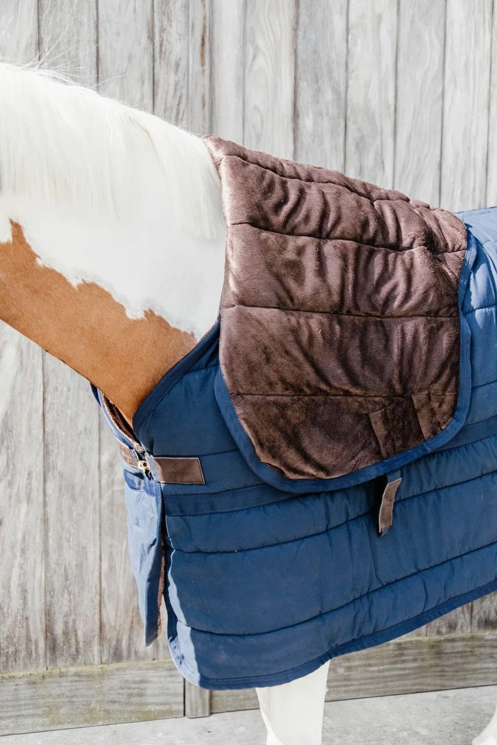 Kentucky Calzoncillo para Caballos con cubrecuello Skin Friendly 150g