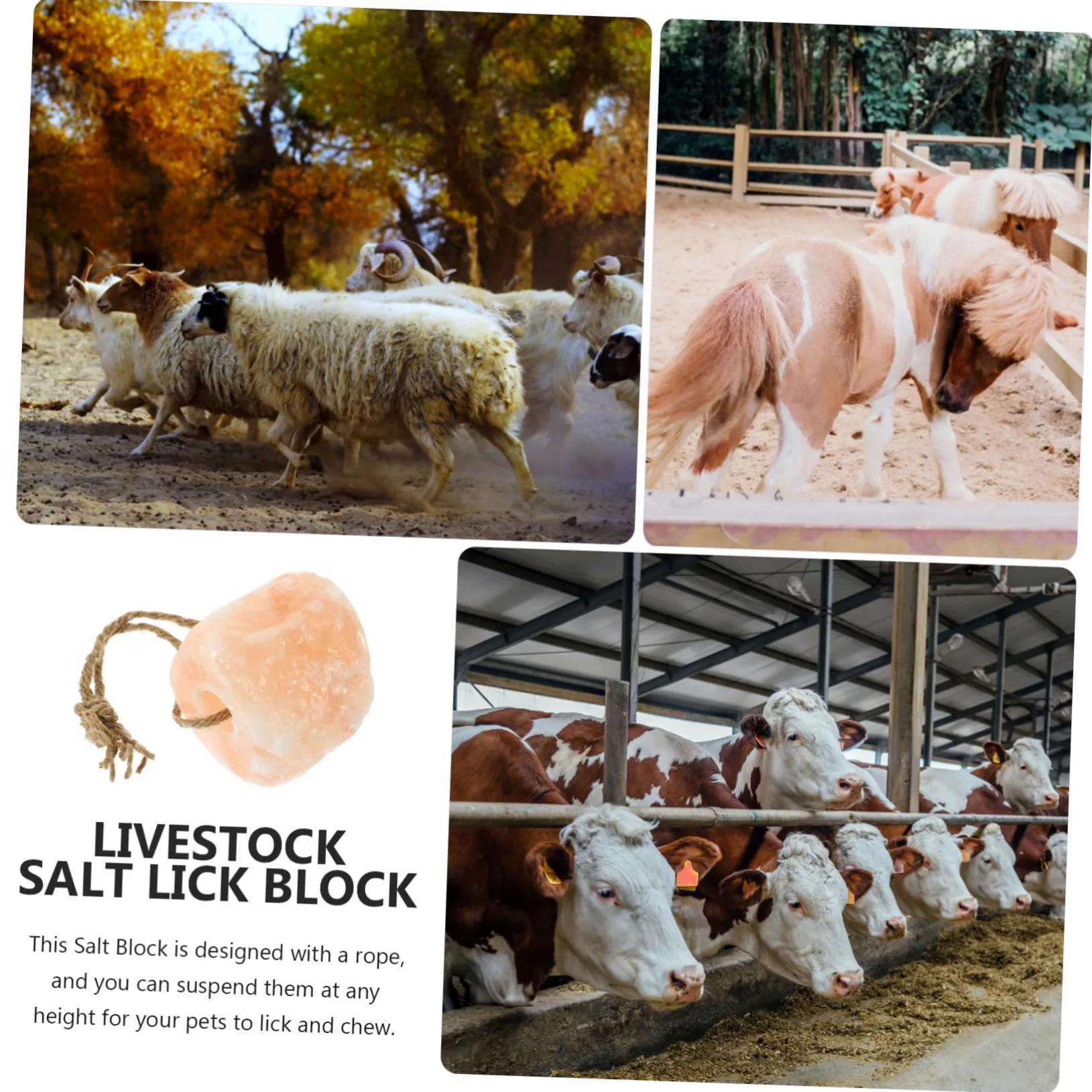 Toddmomy Ladrillo De Mineral Para Lamer Con Cuerda Lamedero Para Ganado Bloque De Roca Natural Para Mascotas Pequeñas Suministros Agrícolas