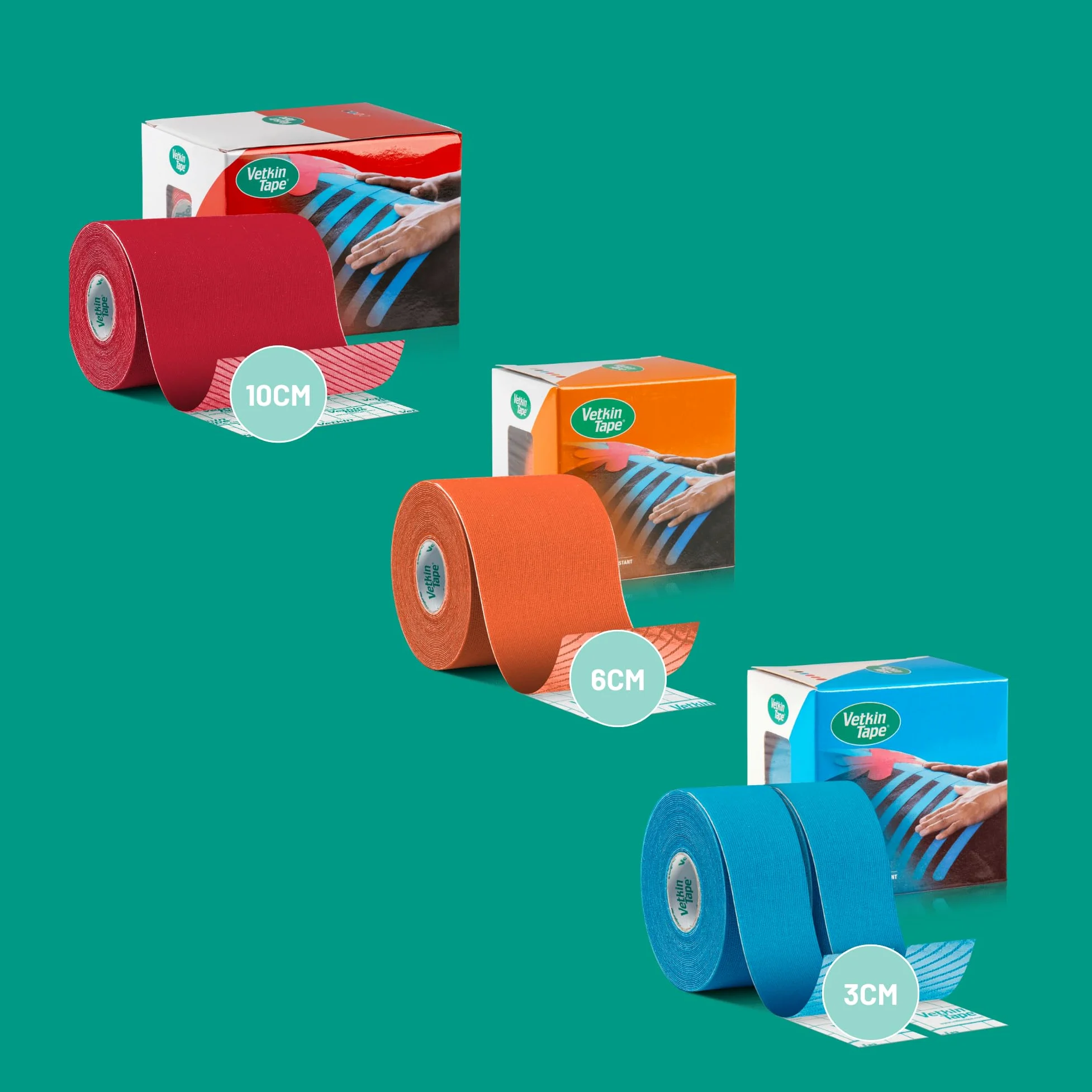VetkinTape Kit de Introducción Equino | Cinta de Kinesiología Equina | Libro de Taping para Caballos | 3 Tamaños de Cinta de Kinesiología Veterinaria | Tijera Premium