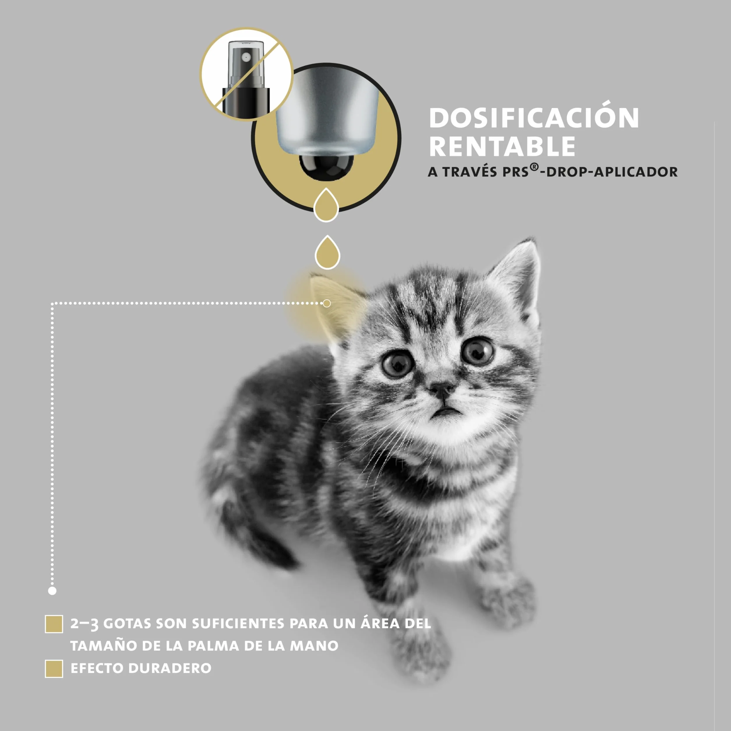 Peticare Gato Aceite de Cuidado Limpiador para Acaros del Oido y Anti-Parasitos - Gotas de Tratamiento, Limpia Eficazmente Orejas, Detiene Otitis Parasitaria - petCat Health 3011