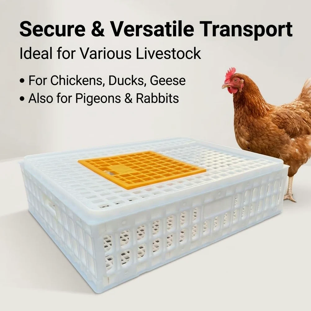 Jaula Transporte para Aves Conejos, transportín plástico Resistente para gallinas, s, s y codornices, Blanco