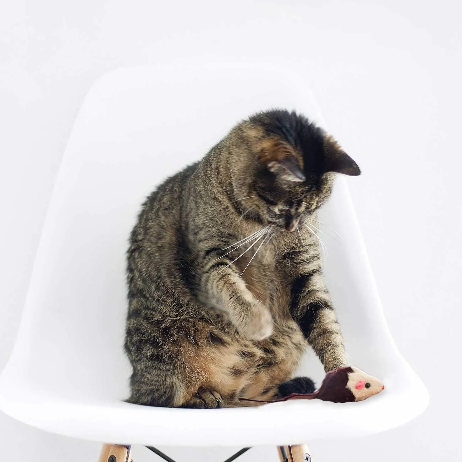 DIGIFLEX Ratones Juguetes para Gatos - 4 Ratones con Nepeta y Sonajero - Juguetes para Mascotas
