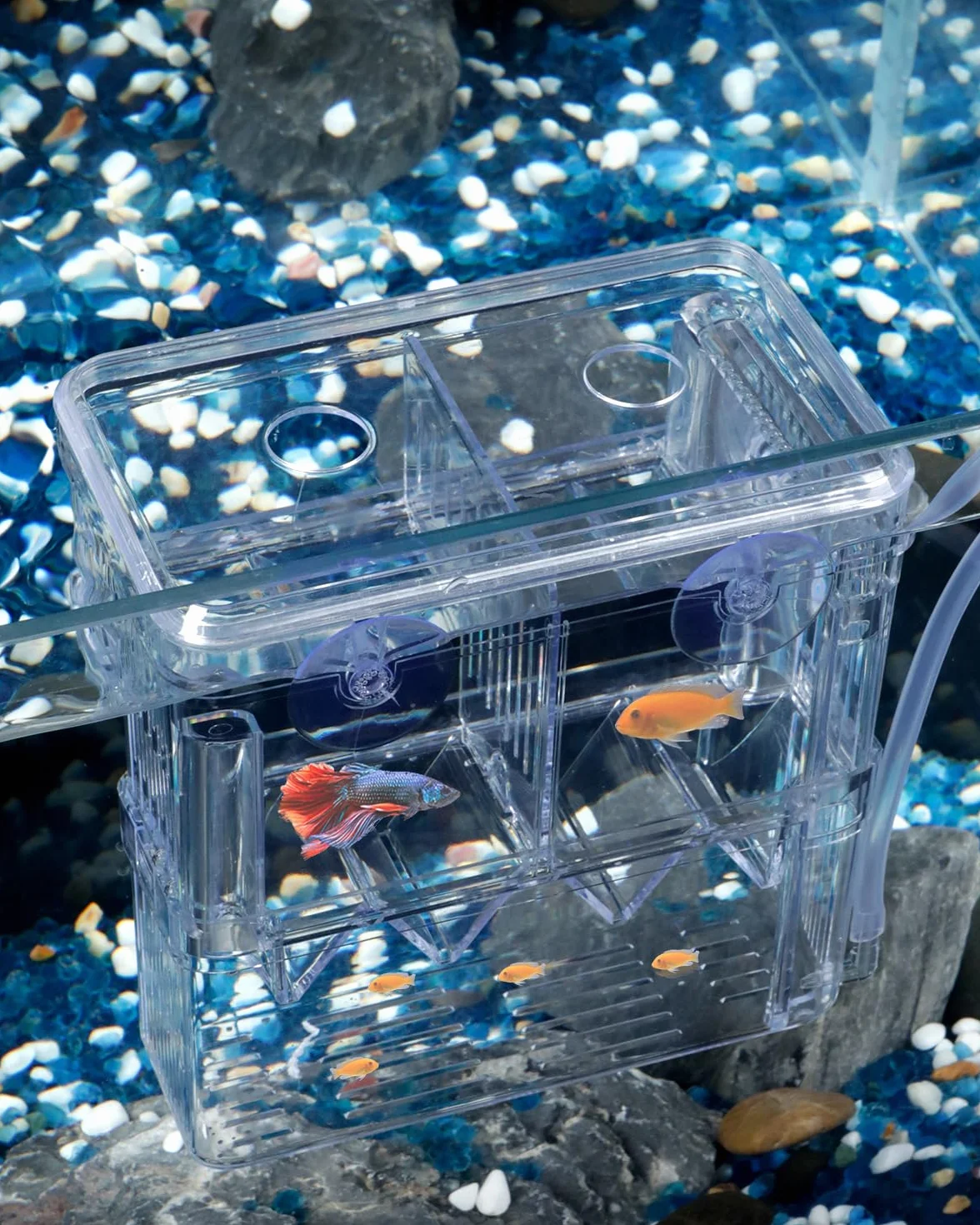 Pawfly Caja de cría para Acuario, Recipiente de plástico Transparente para Peces, incubadora para alevines, camarones, Betta, pez Payaso, Caja de Aislamiento Grande para Peces