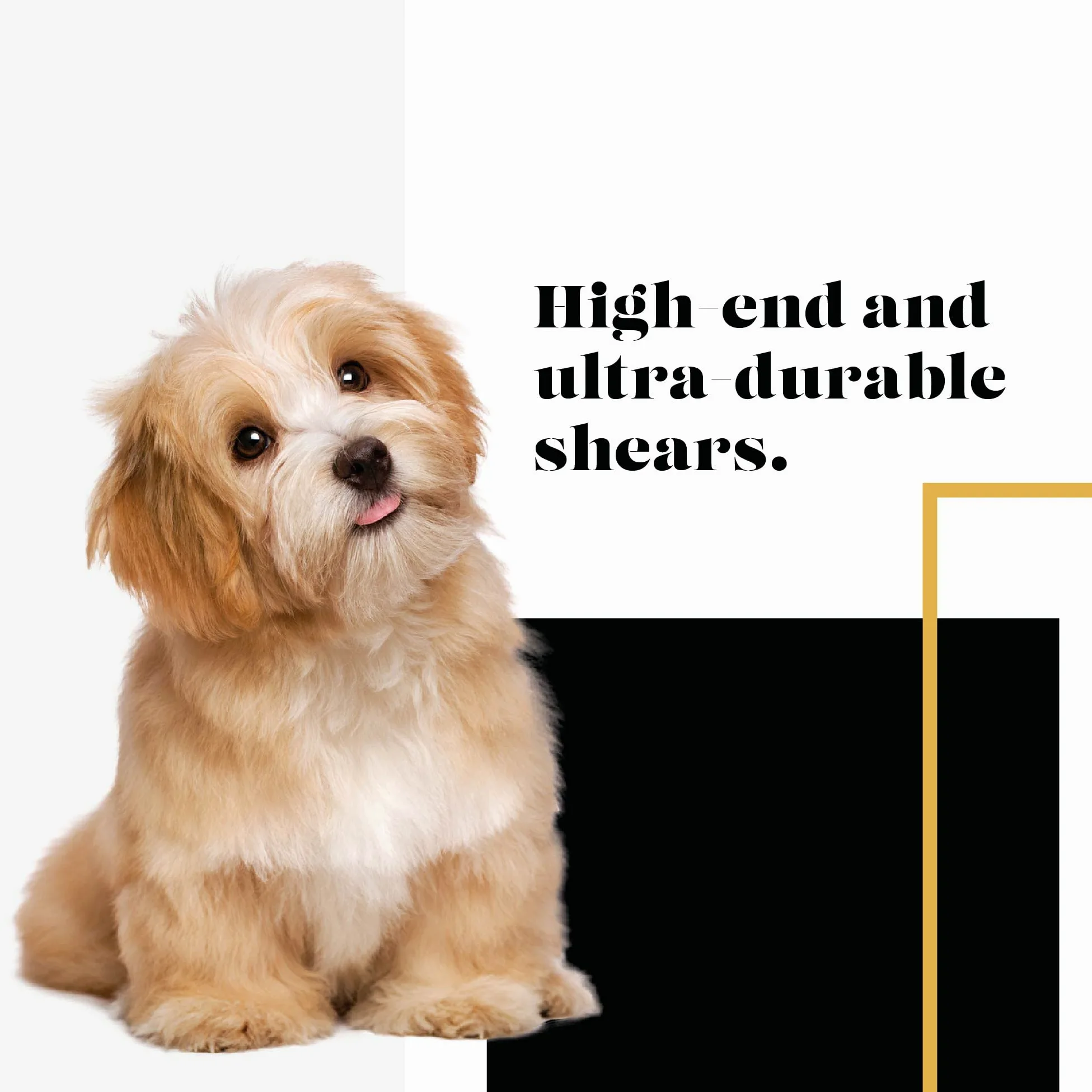 SHARF Gold Touch Tijeras de Peluquería Mascotas Cuchillas Rectas Acero Inoxidable 19 cm