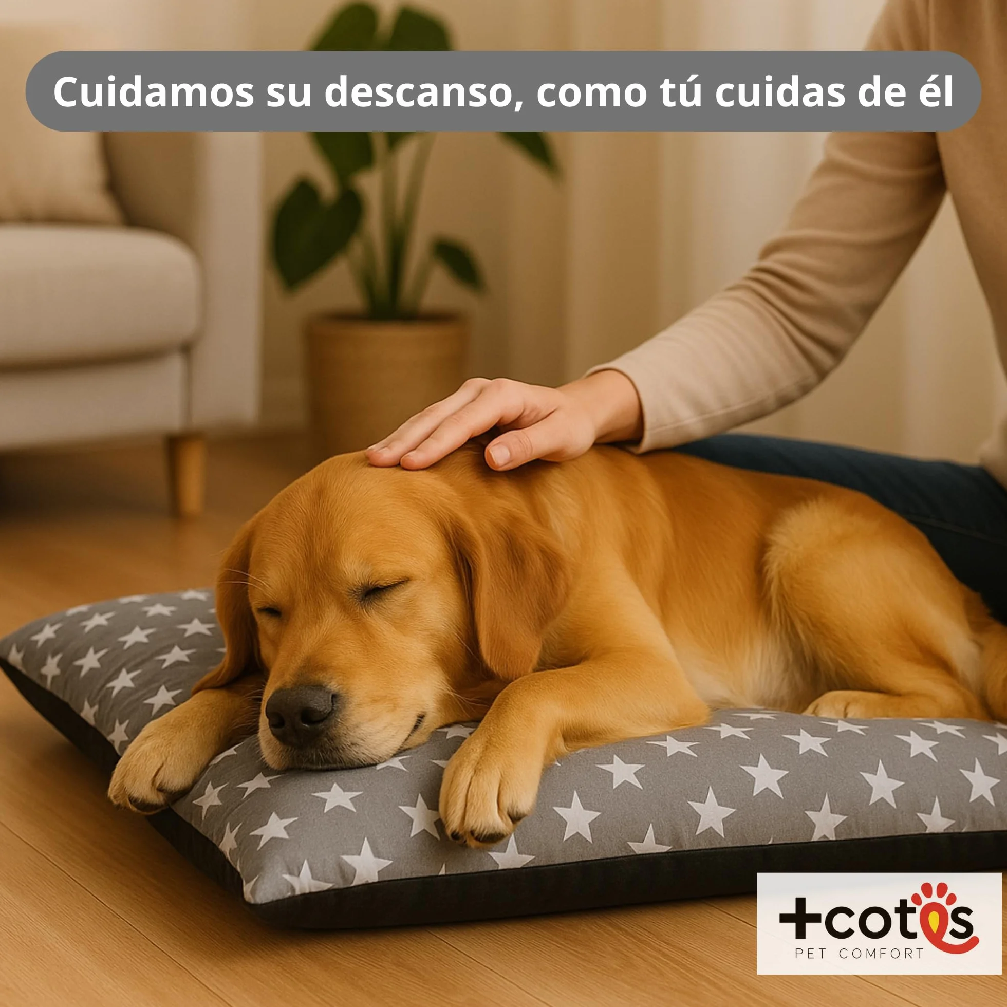 Cama Cachorro Perro Pequeño Espuma Acolchada Colchoneta Tacto Suave Tejido Transpirable Base Antideslizante Funda de algodón loneta Ligera cómoda Lavable Fácil de Transportar 45X65X5 Estrellas +Cotes