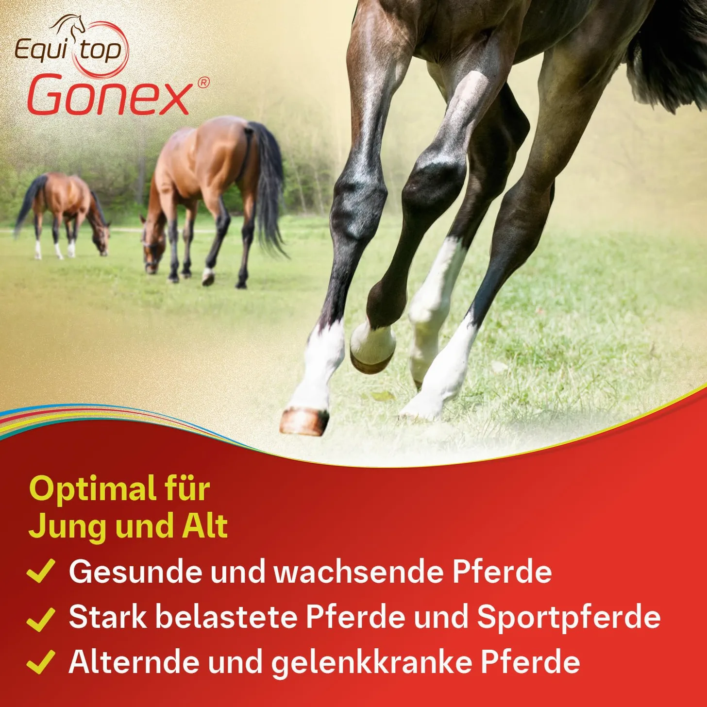 EQUITOP Gonex Granulat Vet.