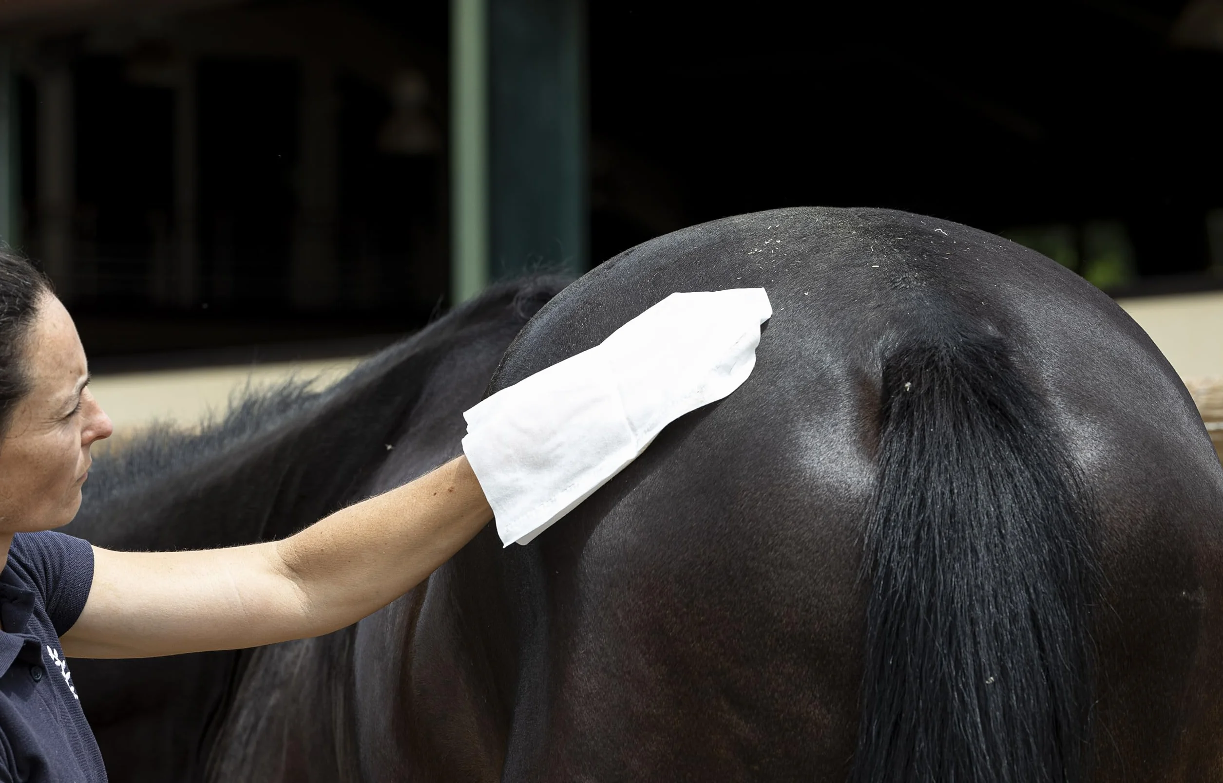 Artero Bops. Guantes de limpieza húmedos para caballos. Para eliminar el polvo y las manchas. Fáciles y rápidos de usar.
