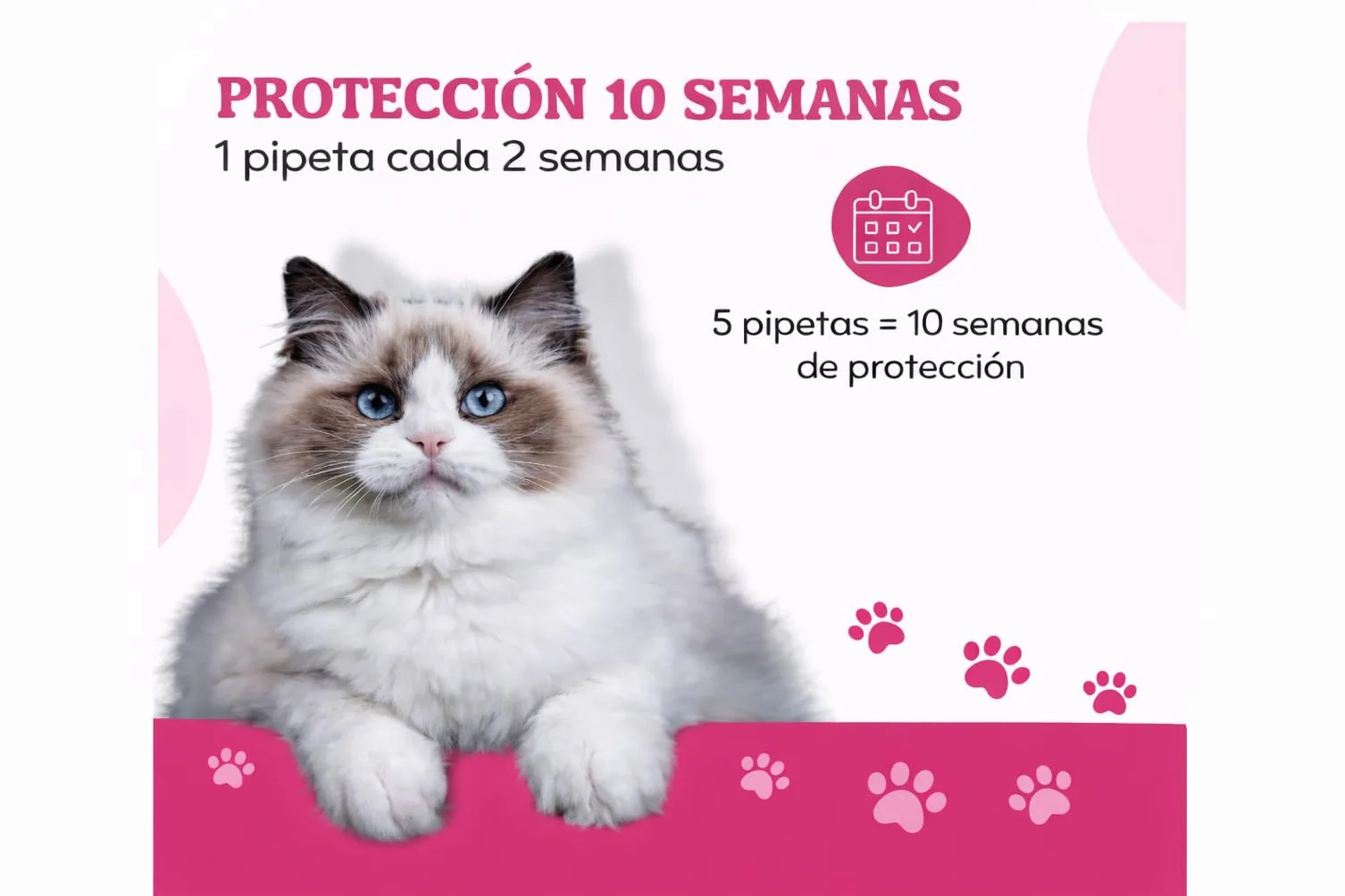 Spot On Antiparasitario Natural para Gatos y Gatitos de Larga Duración, 5 Pipetas de 1 ml, Protege contra Pulgas, Garrapatas, Flebotomos y Mosquitos