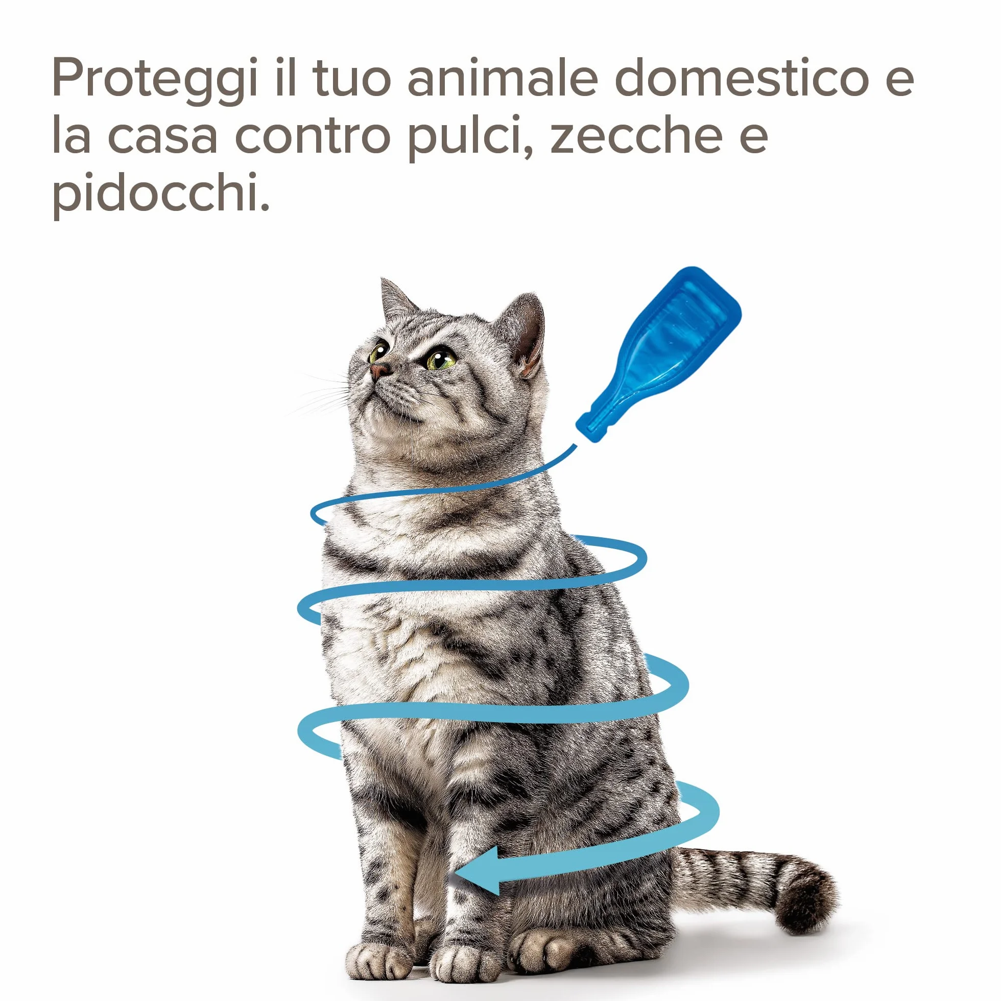 Beaphar Combotec - Antiparasitario para gatos, protege de pulgas, garrapatas, huevos, larvas y también la casa – en paquete de 3 pipetas