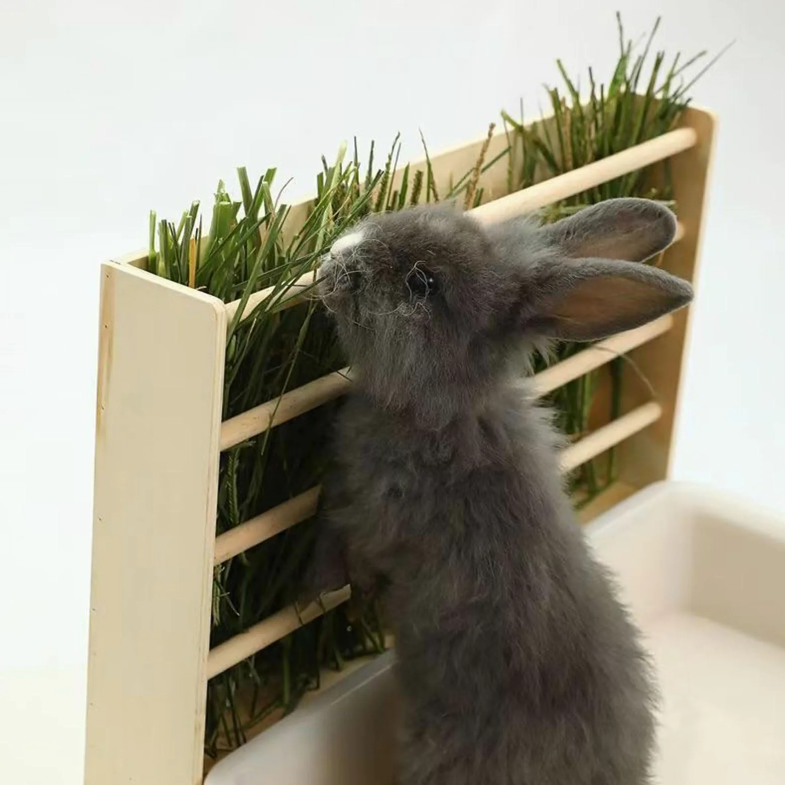 Comedero de metal, base antivuelco y diseño de rejilla abierta, cuenco de alimentación para animales pequeños, cobayas, heno, con diseño de rejilla abierta