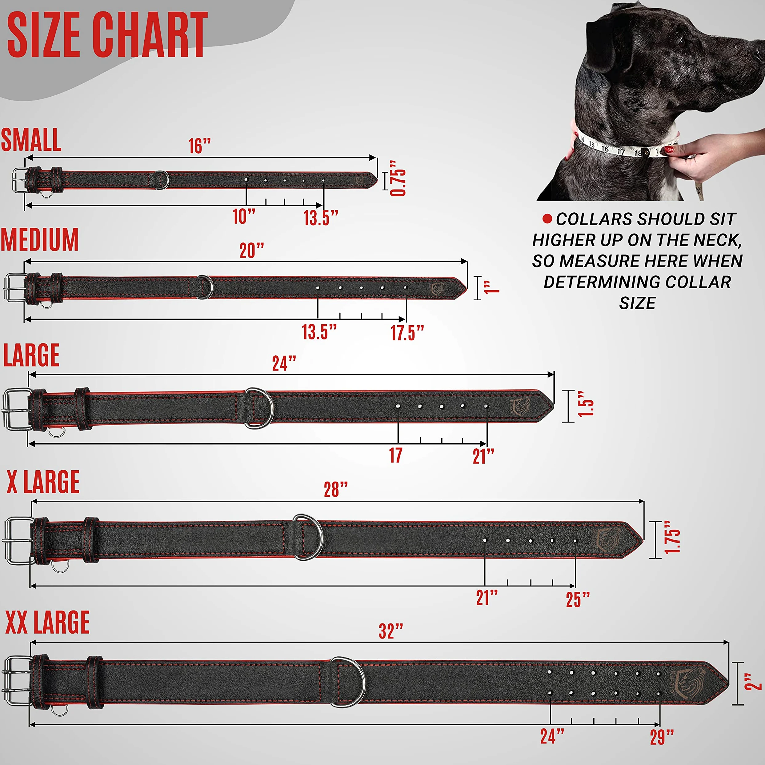 Riparo K-9 - Collar ajustable de piel auténtica acolchada para perro