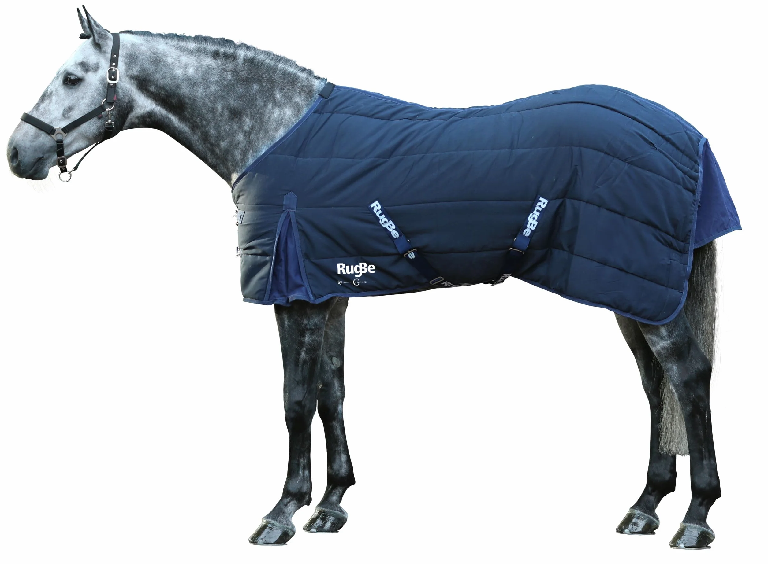 Covalliero Manta Caballo RugBe Indoor 125 cm, Azul