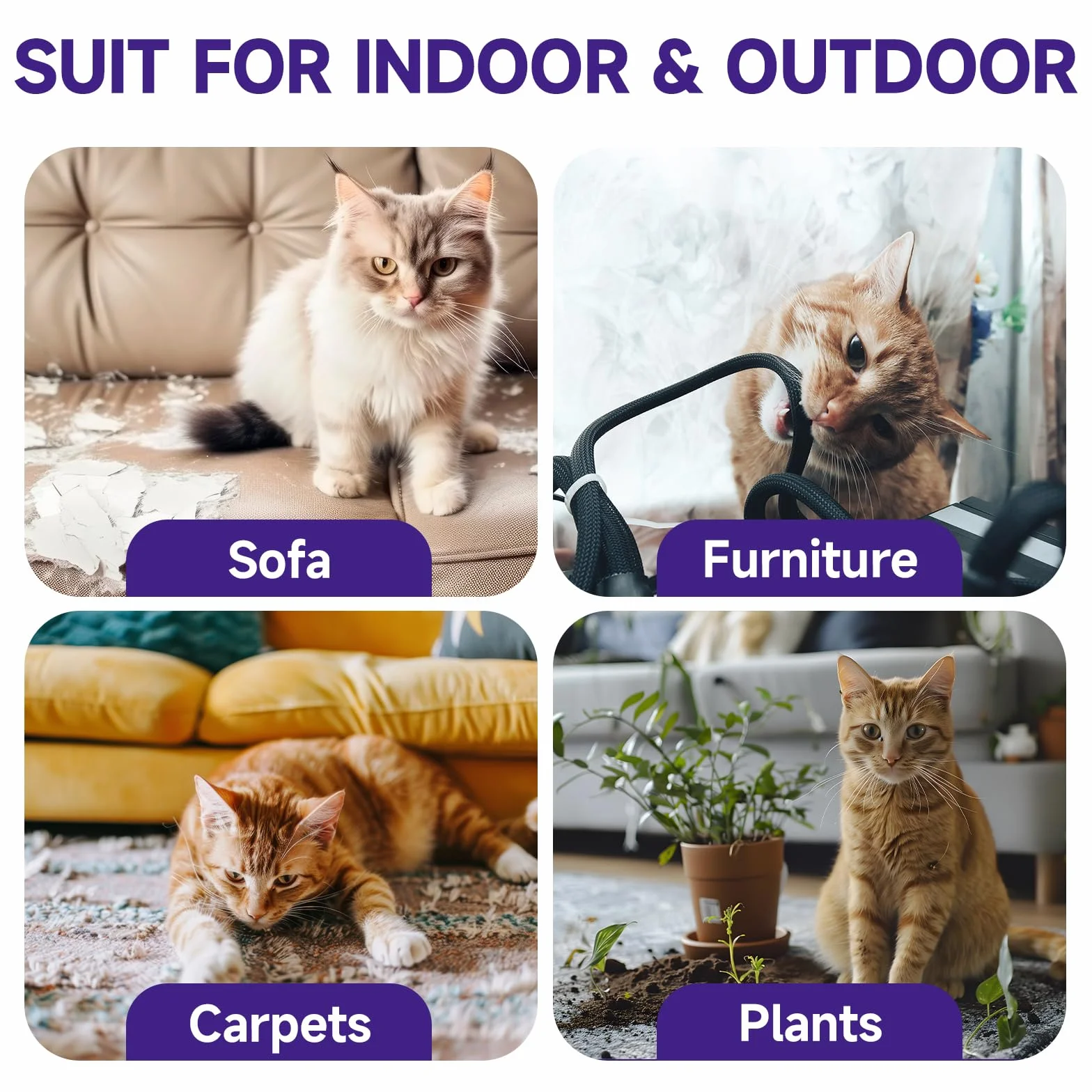WEALLIN Spray Antiarañazos Gatos, 200ml Spray Repelente Gatos, Spray Ahuyentador para Gatos para Proteger Sofá y Muebles, Ideal para Uso Indoor y Outdoor con Gatos y Gatitos