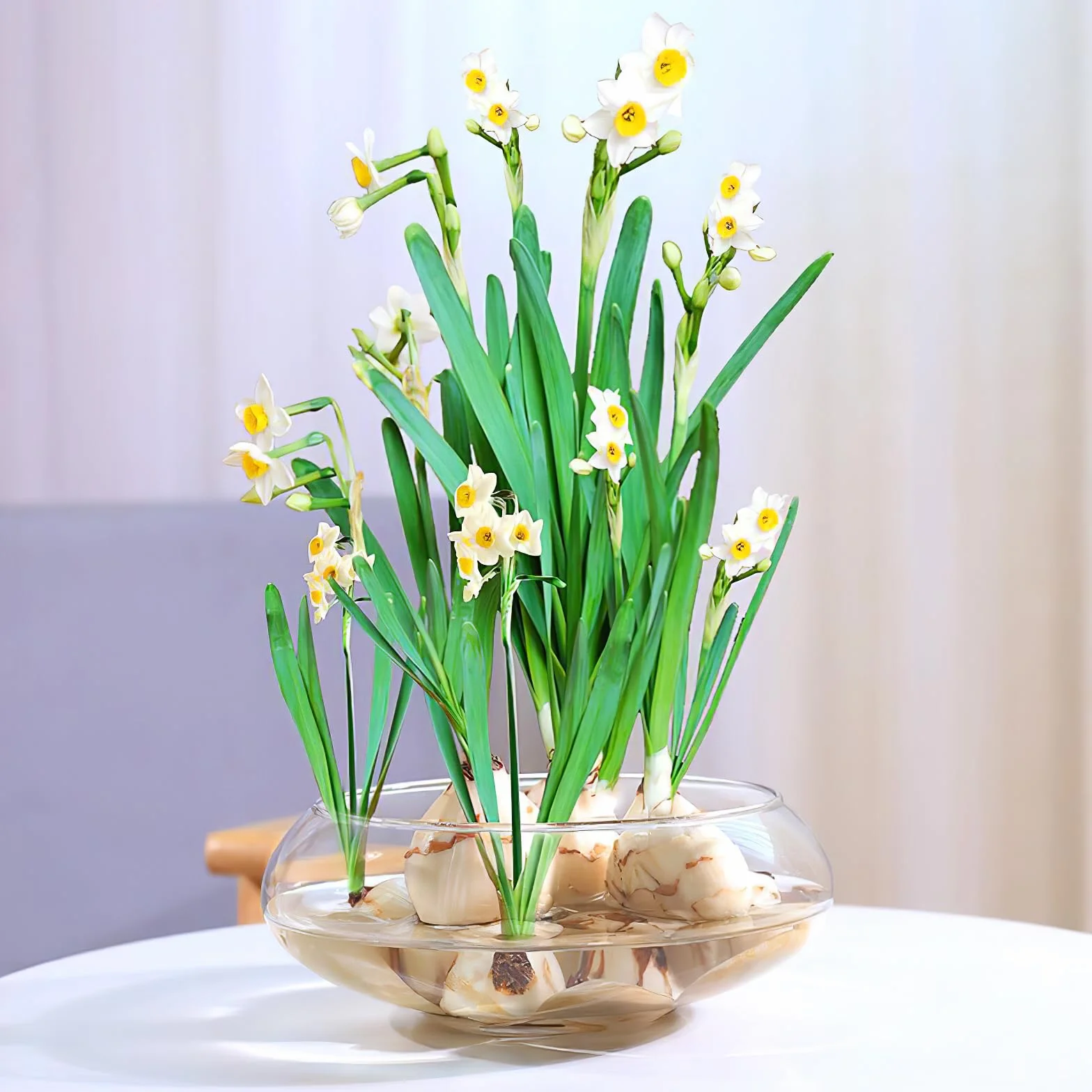 Happyyami Pecera de plástico Transparente Florero de Flores de Boca Ancha Terrario Redondo Tanque Betta de plástico pequeño Acuario hidropónico Jarrón Jardinera Pecera como