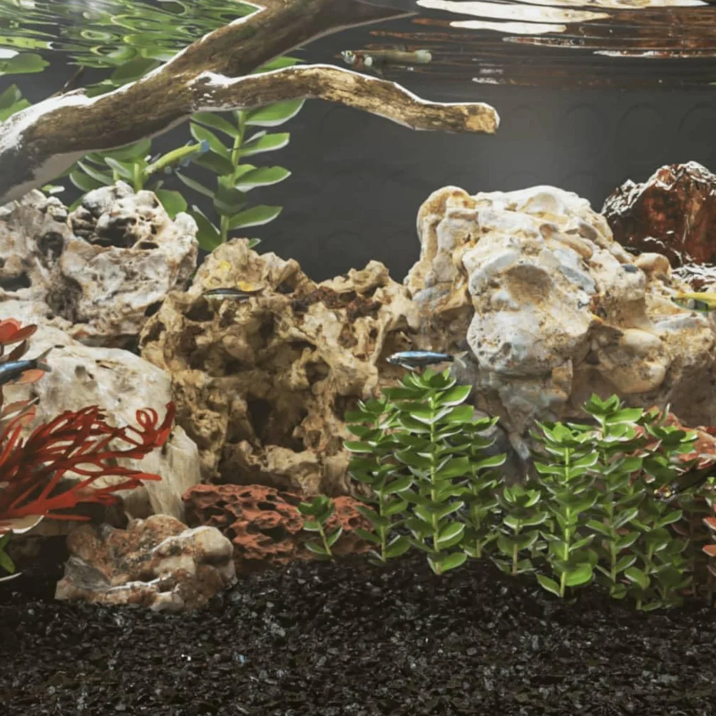 Piedras de dragón marrón 10 kg 5-30 cm acuario decoración con estructura natural como escondite y adorno para gambas, peces de agua dulce, agua de mar, nano terrario