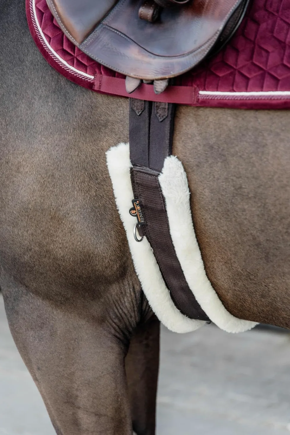 Kentucky - Sangle Mouton 120, Choco