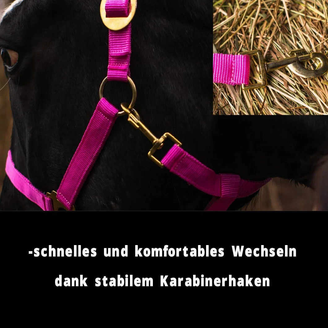 Pferdelinis Cabestro para potro Mini Shetty Cabestro para caballo de madera – Cabestro de potro 2 posiciones ajustable en mentón y cuello (rosa, potro)